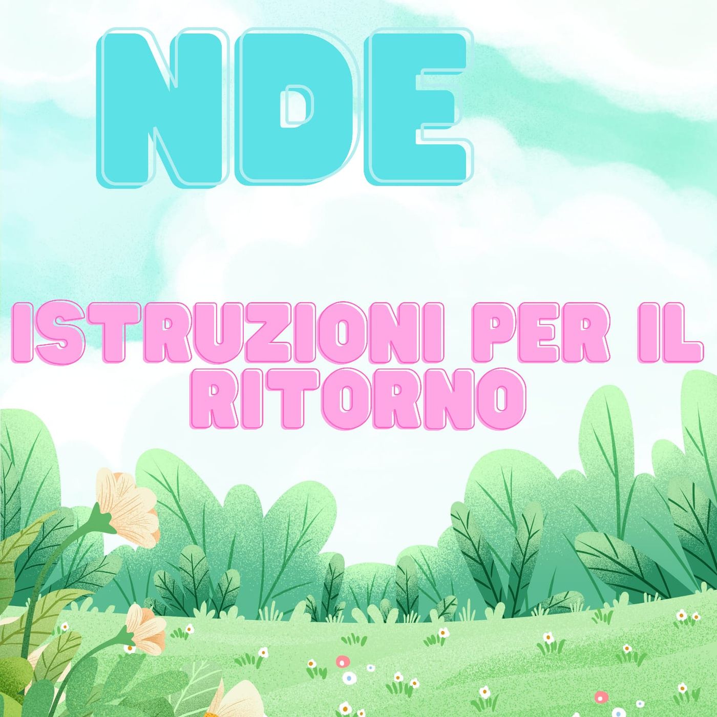 NDE - Istruzioni per il ritorno podcast artwork