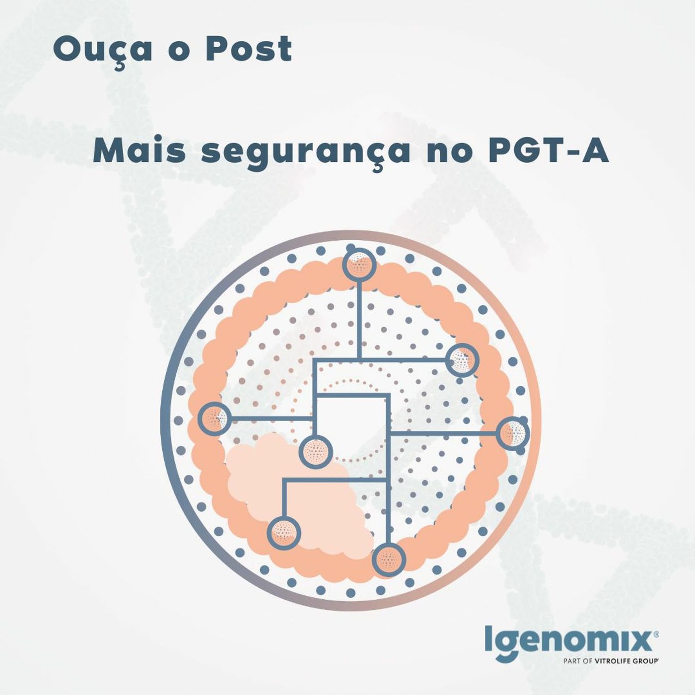 Nós tentantes, Projeto de Vida
