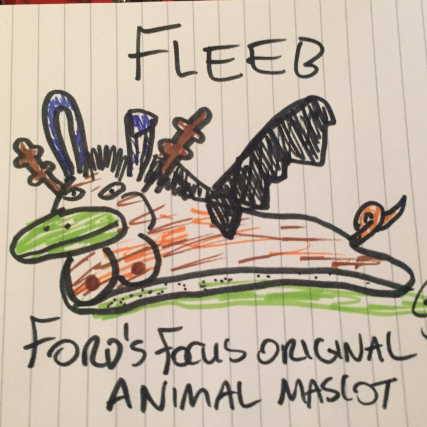 Focus On... Animals episode artwork