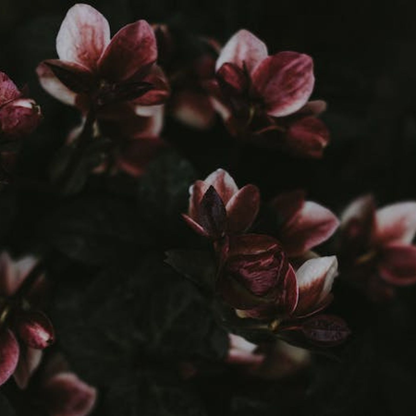 God’s Good Design in Our Suffering