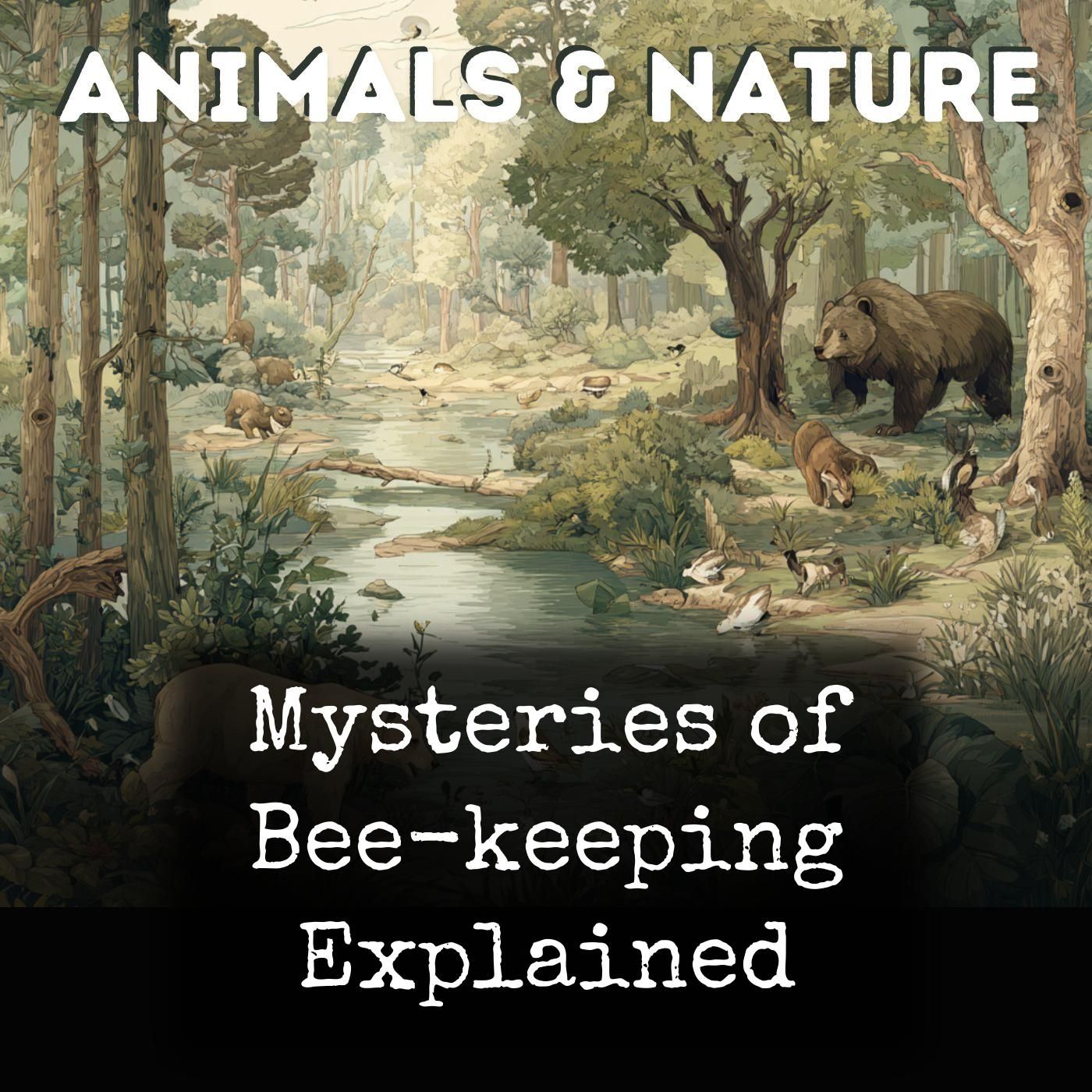 Mysteries of Bee-keeping Explained cover art