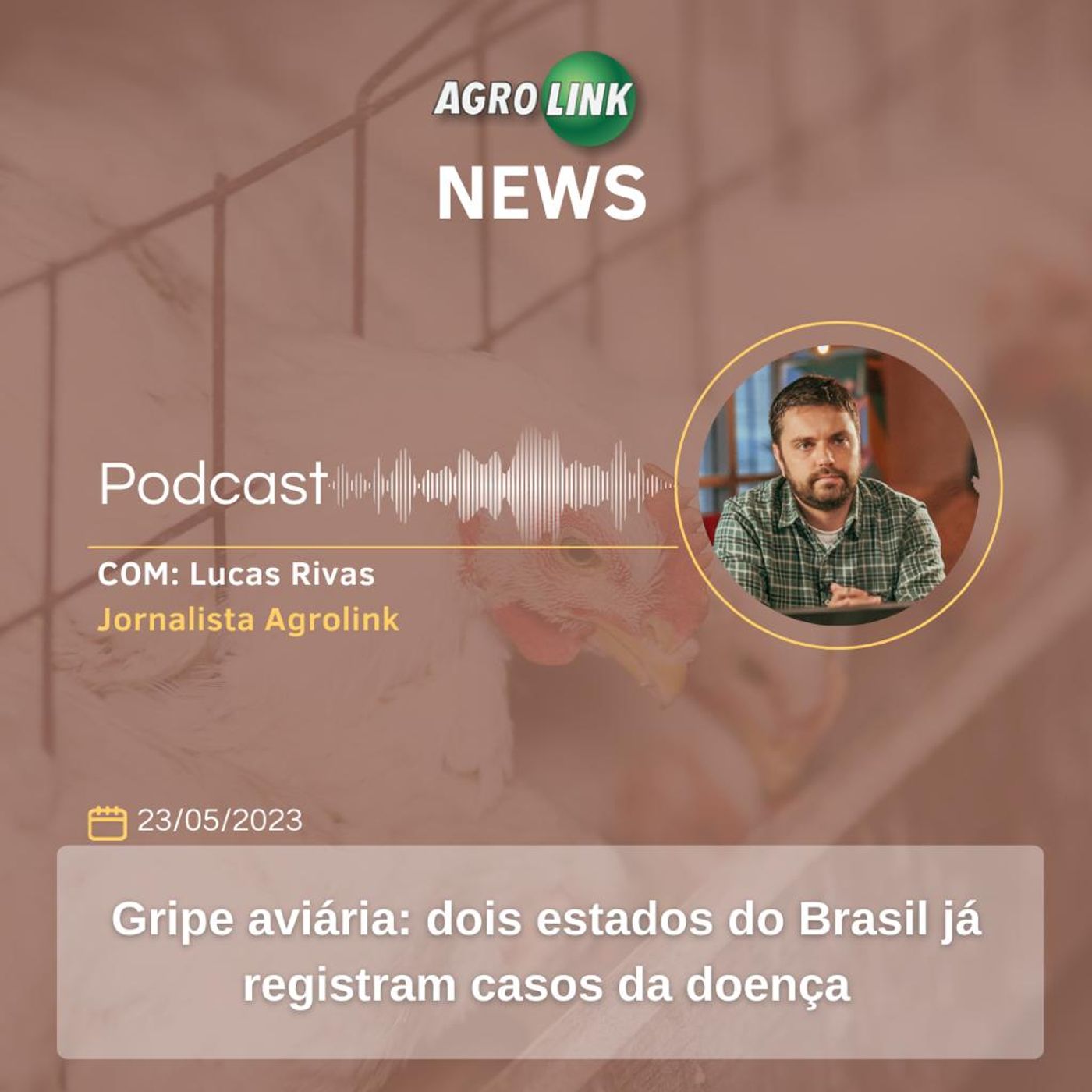 Mapa decreta emergência após casos de gripe aviária no Brasil episode artwork