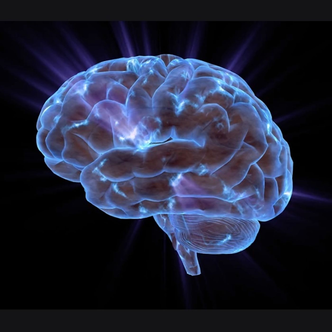 S64E6: No 2 Brains Are The Same - Trevor Gear On How We Perceive Colours Differently As Individuals