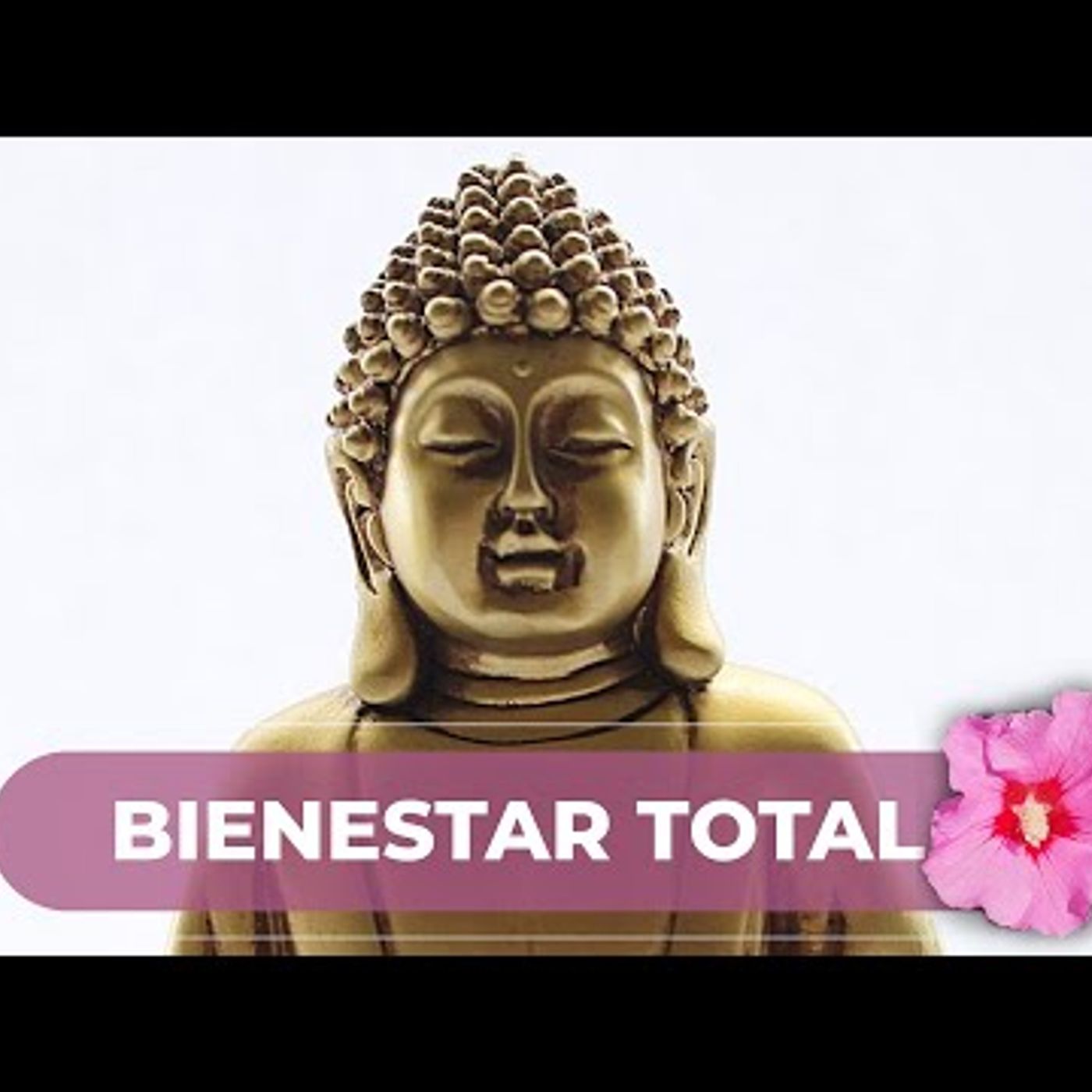 030. Fantástica Meditación de la Mañana para hacer todos los días