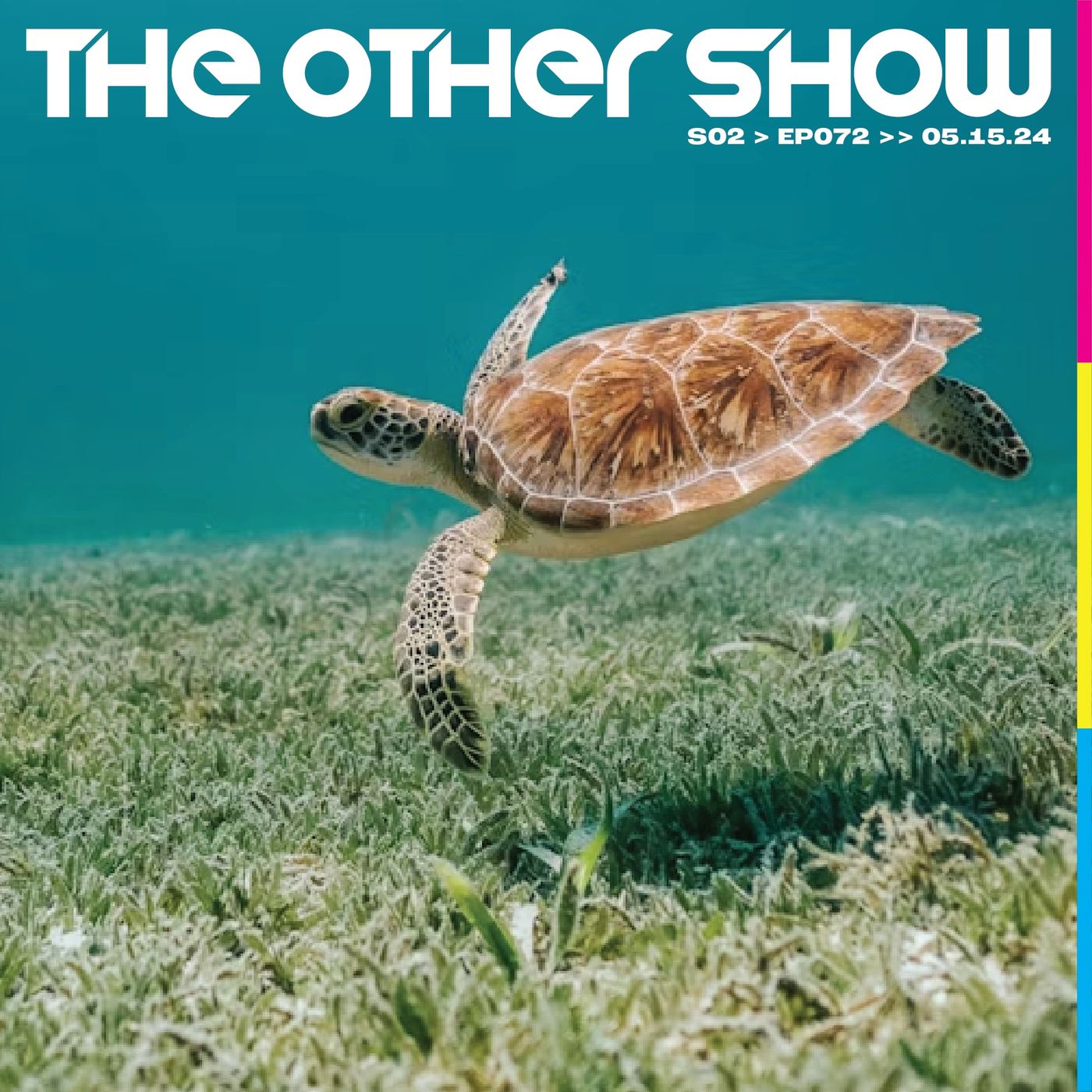 The Other Show