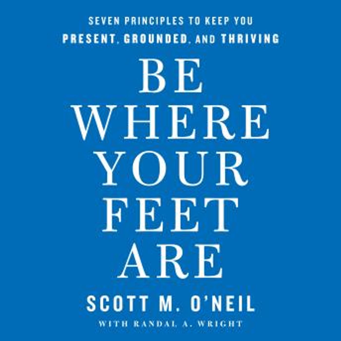 Audiobooks in Self-Improvement, Career Development