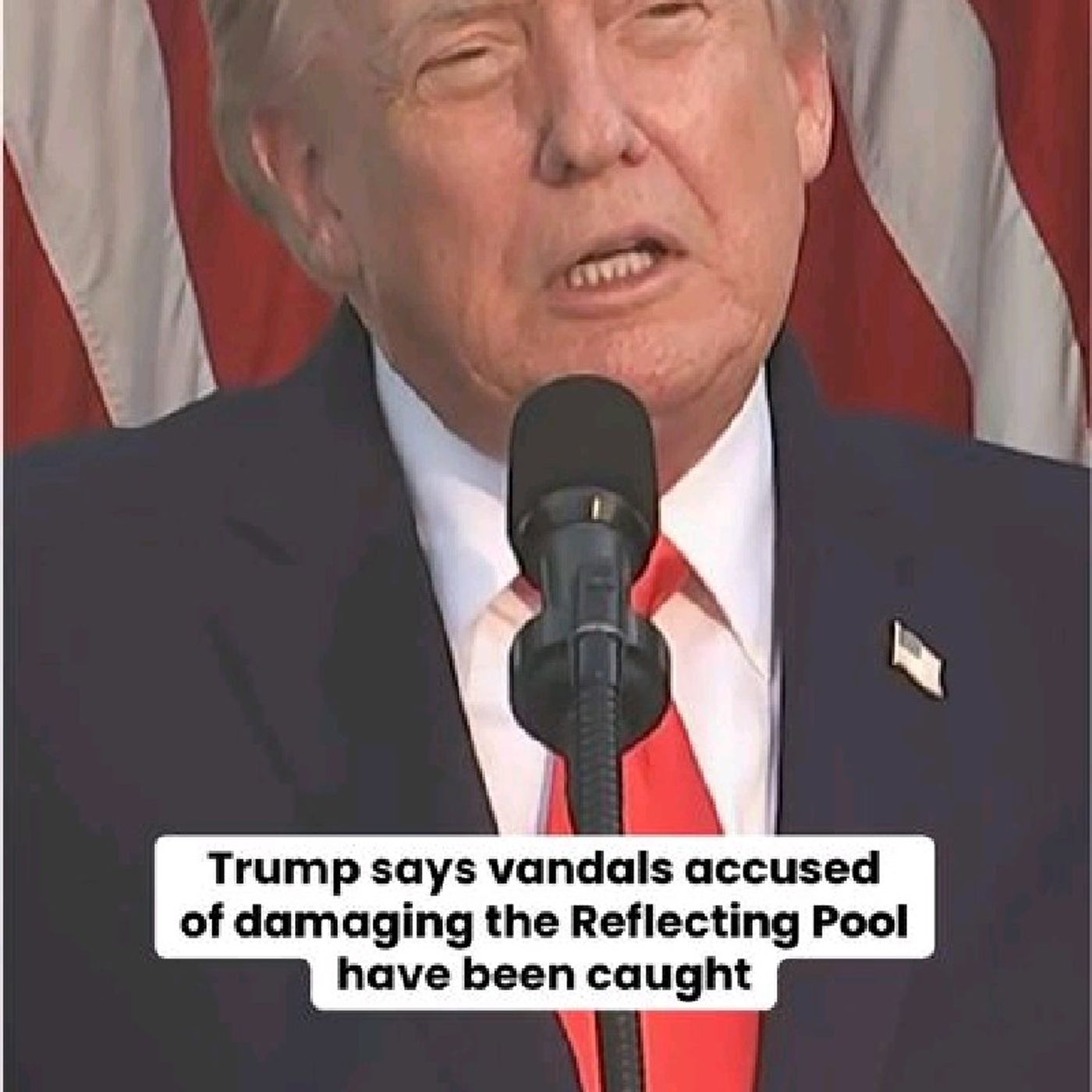 President Trump on Thursday said the vandals accused of damaging the Lincoln Memorial Reflecting Pool were caught. Trump said the alleged va episode artwork
