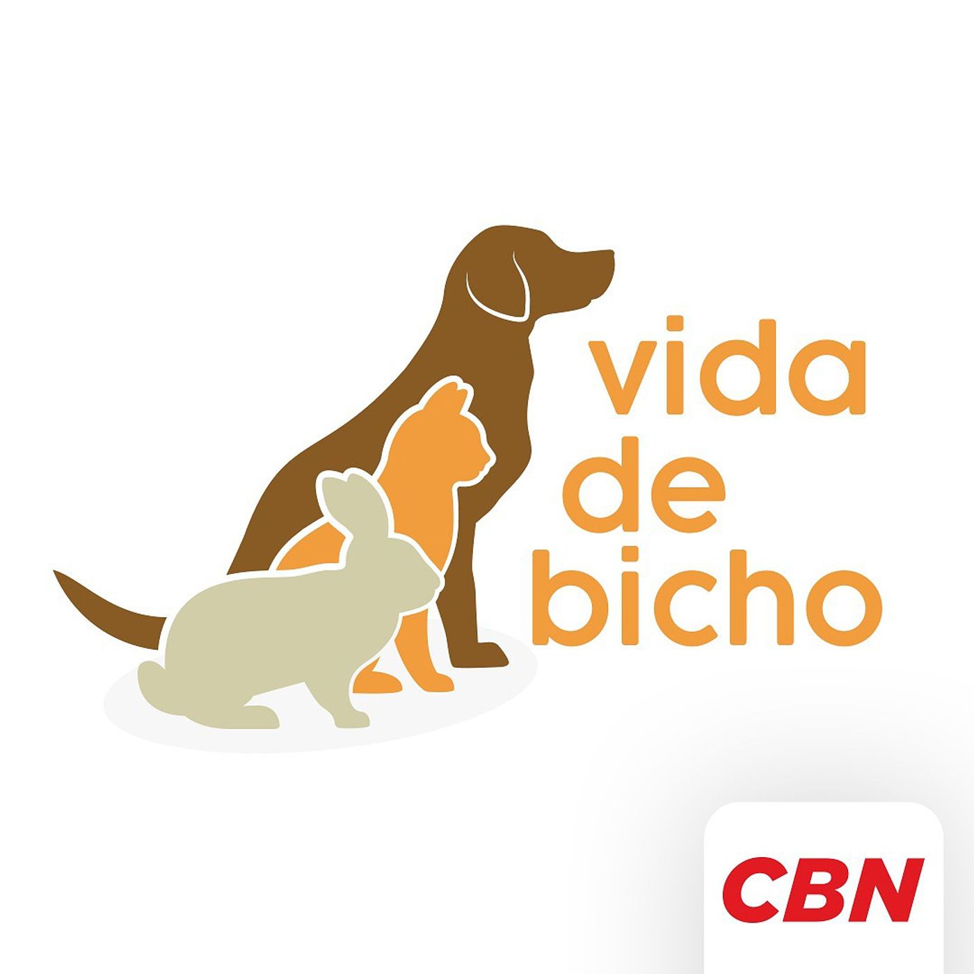 Comentaristas