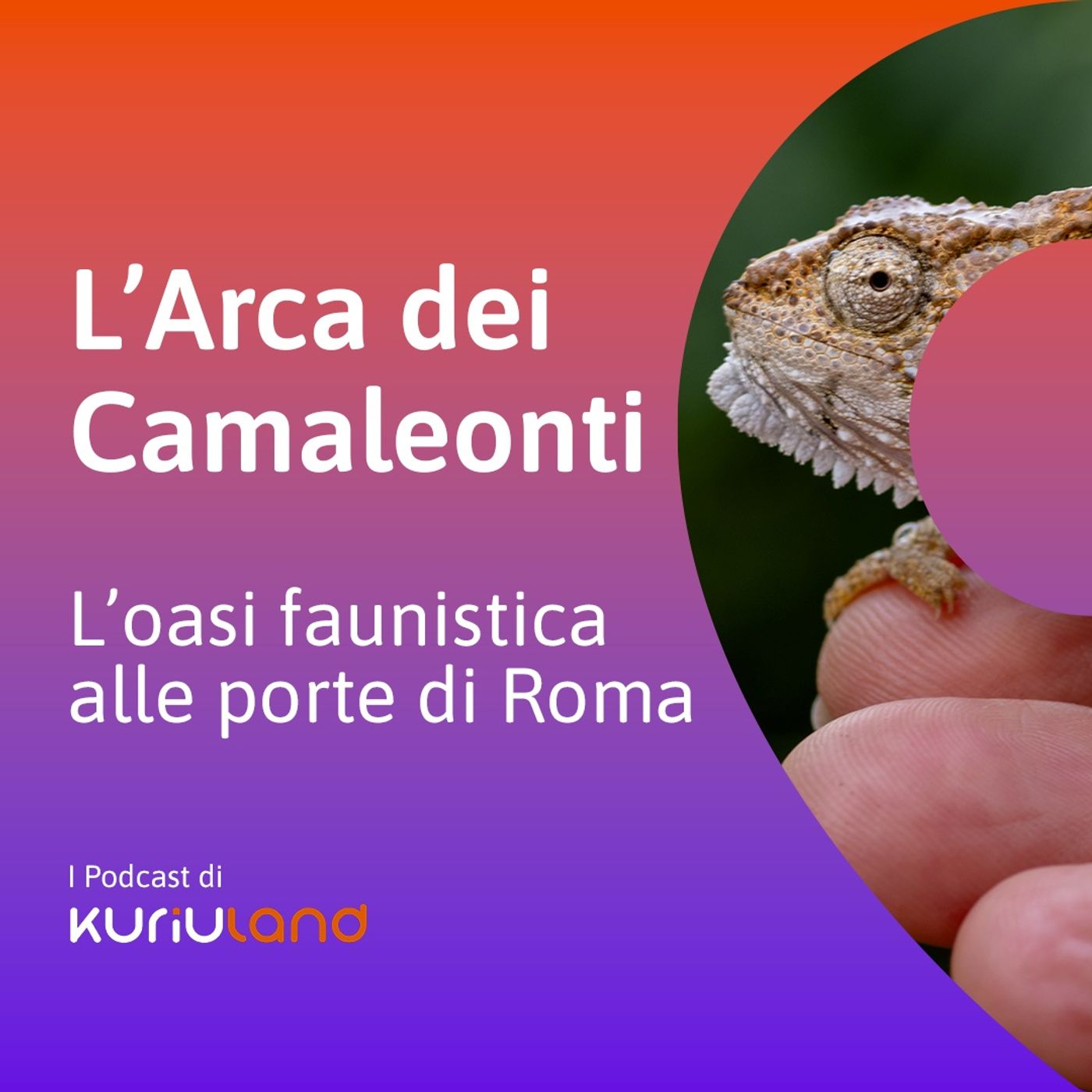 L'Arca dei Camaleonti. L'oasi faunistica alle porte di Roma episode artwork