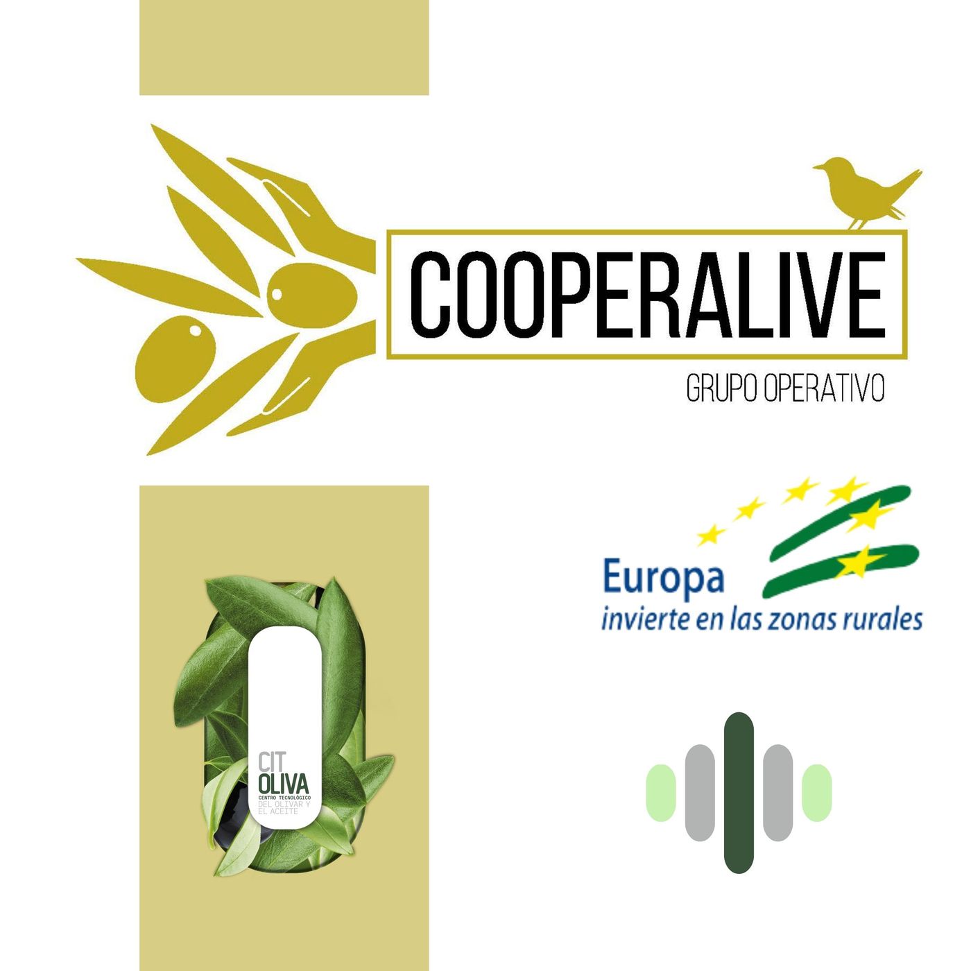Citoliva Go Innovation