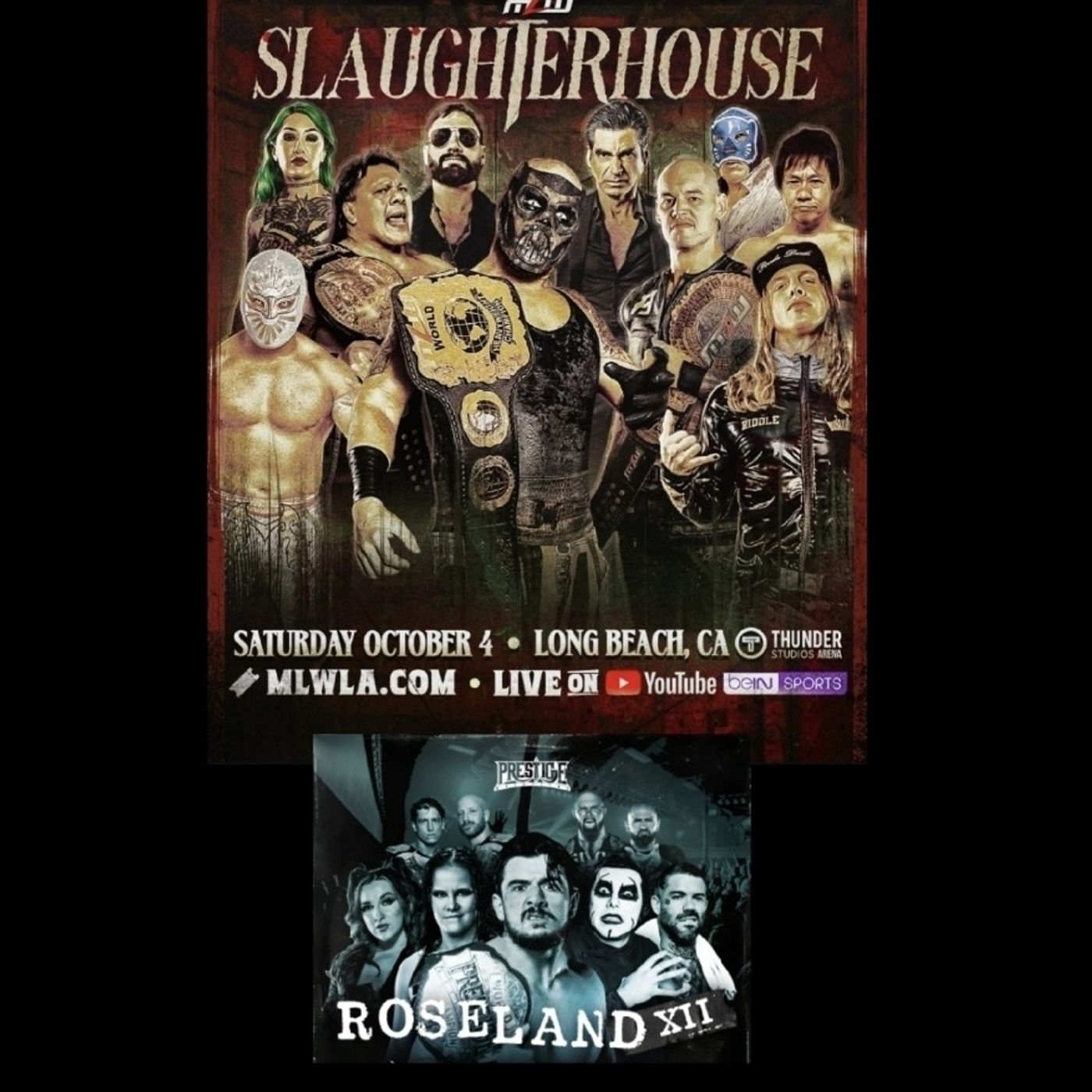 The Wrestling Enthusiast Podcast