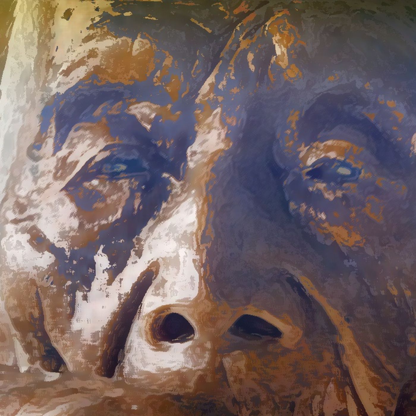 Cafe con leche amargo