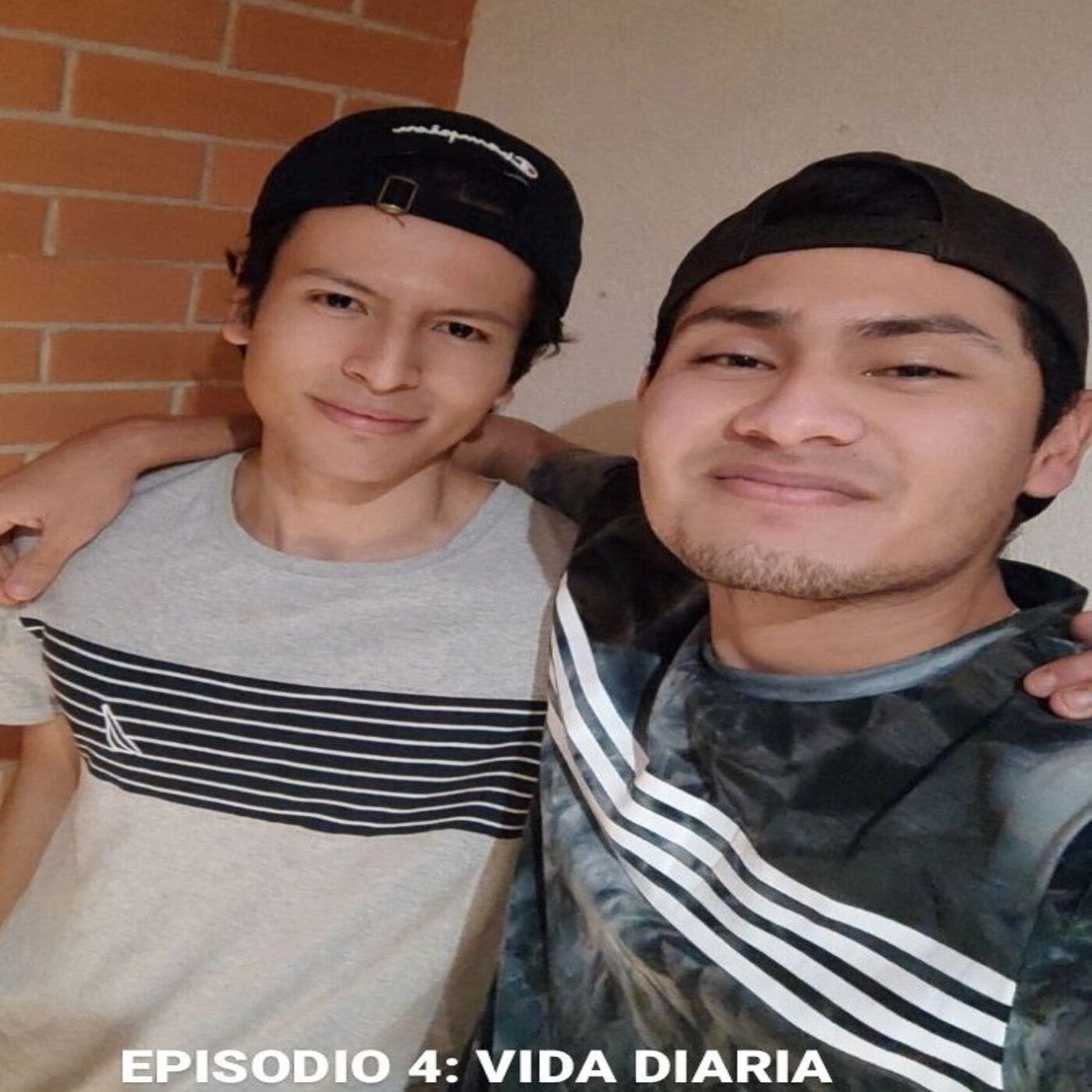 VIDA DIARIA episode artwork