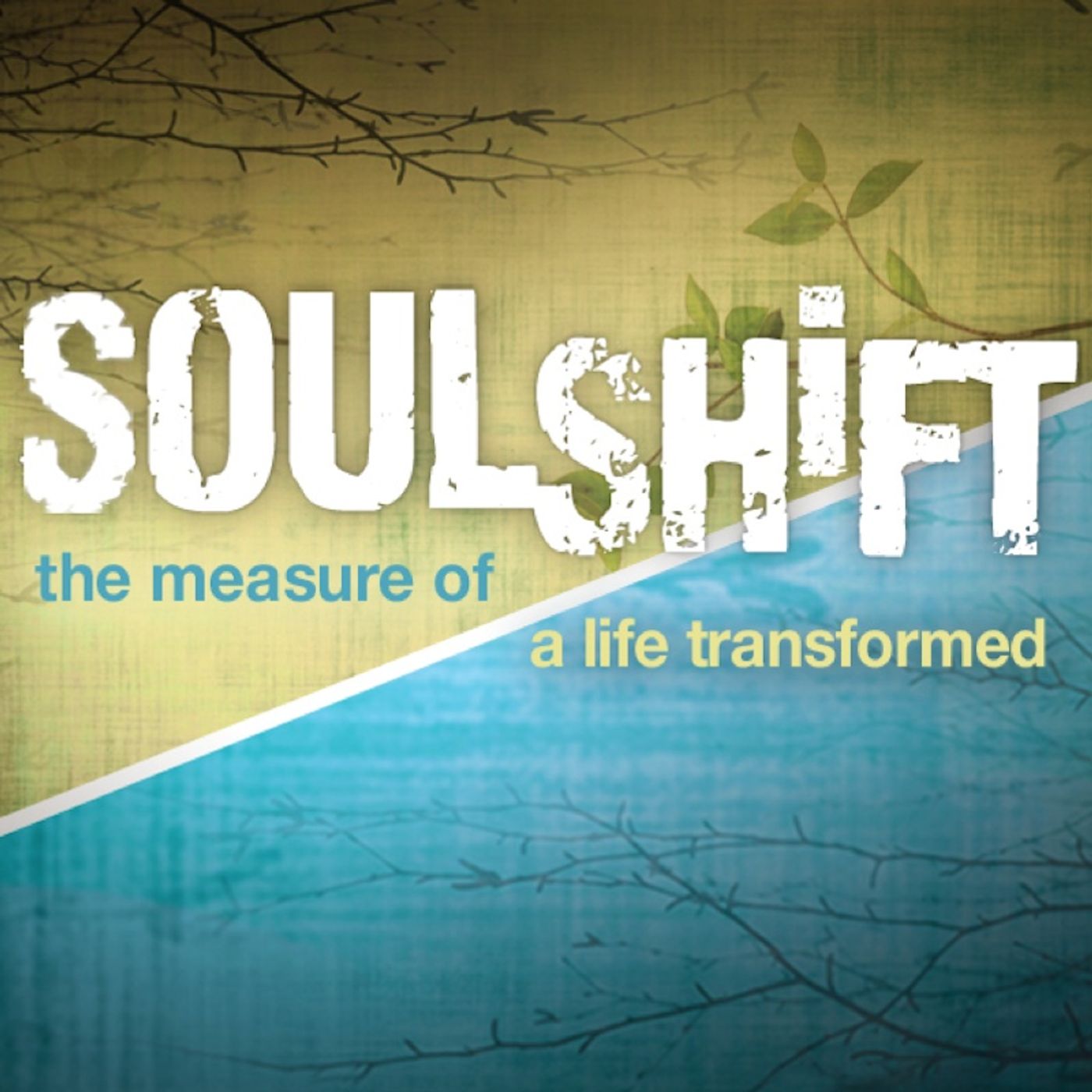 Soul Shift: Now What? episode artwork
