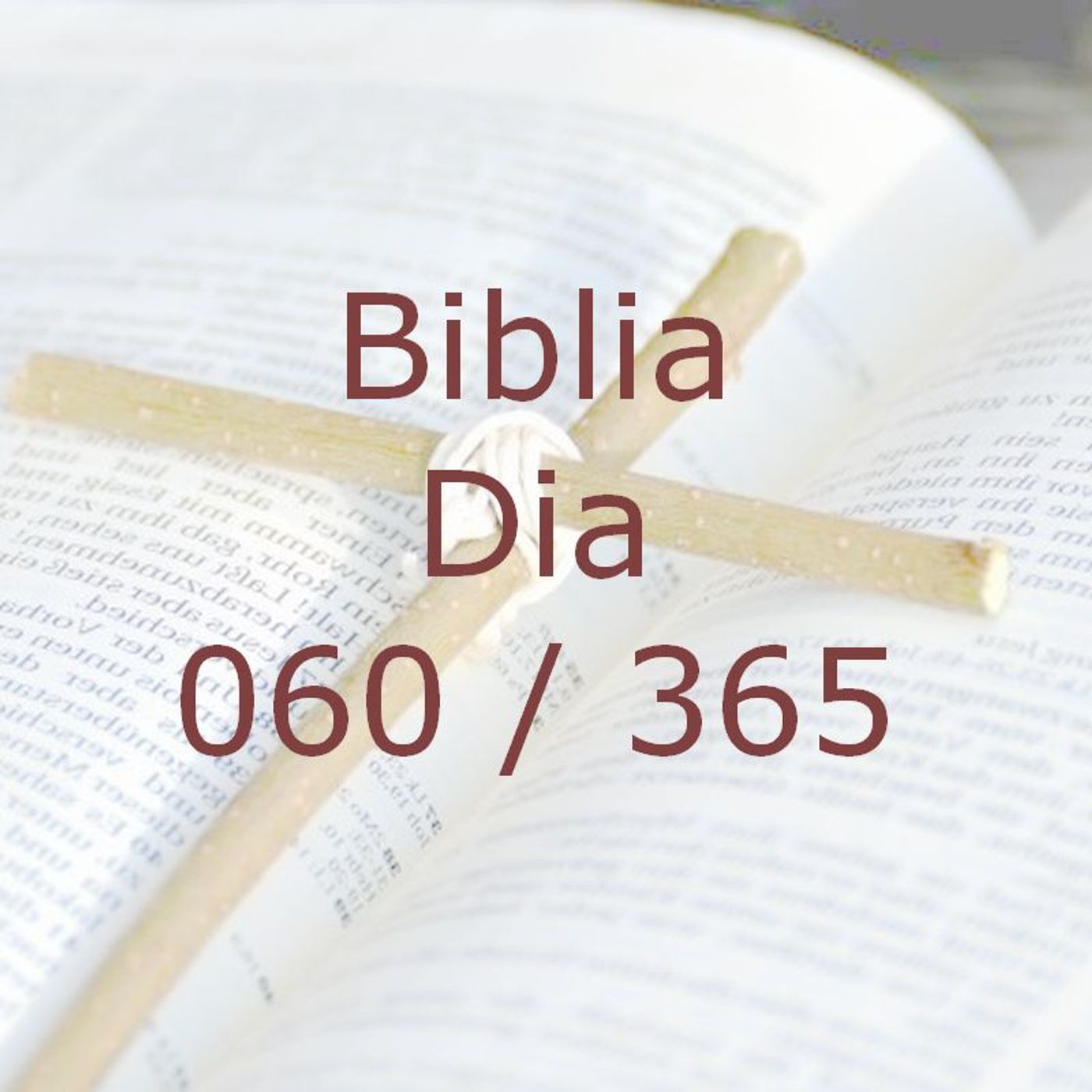 La Biblia en 365 dias