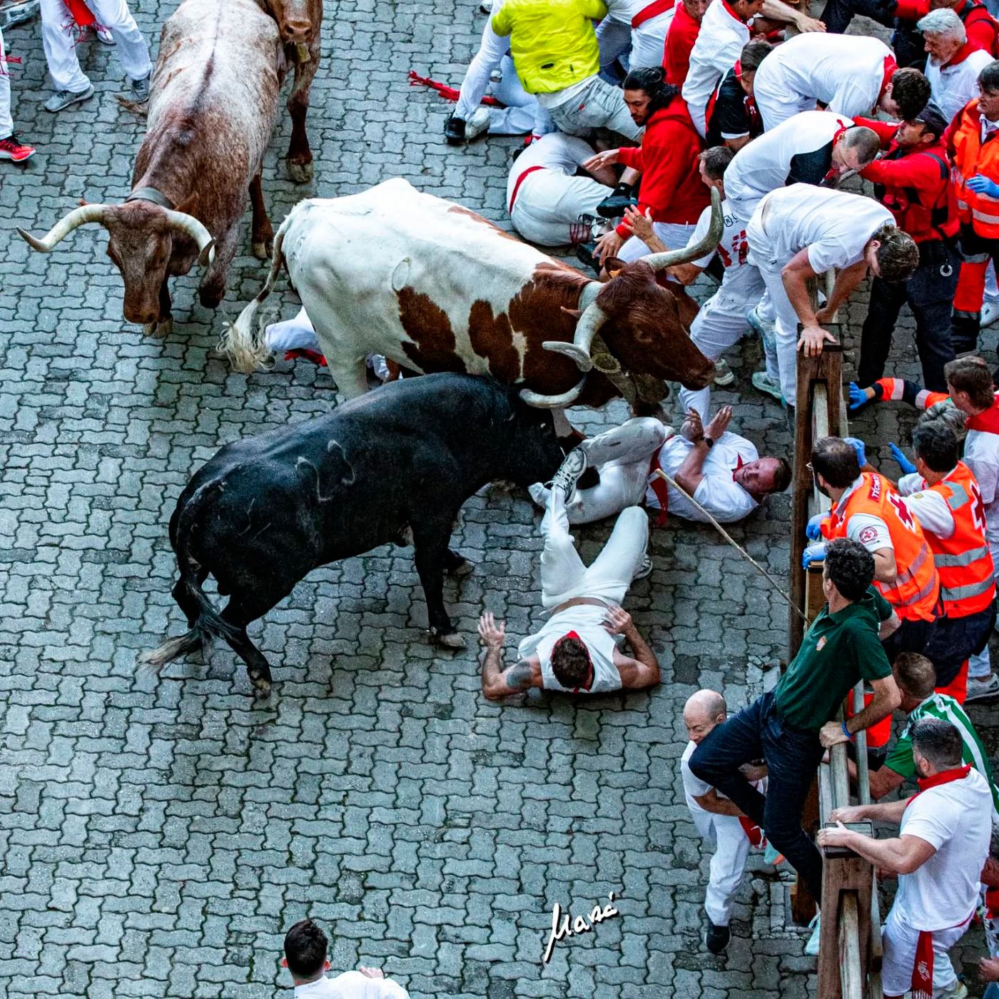 Hablemos de Toros
