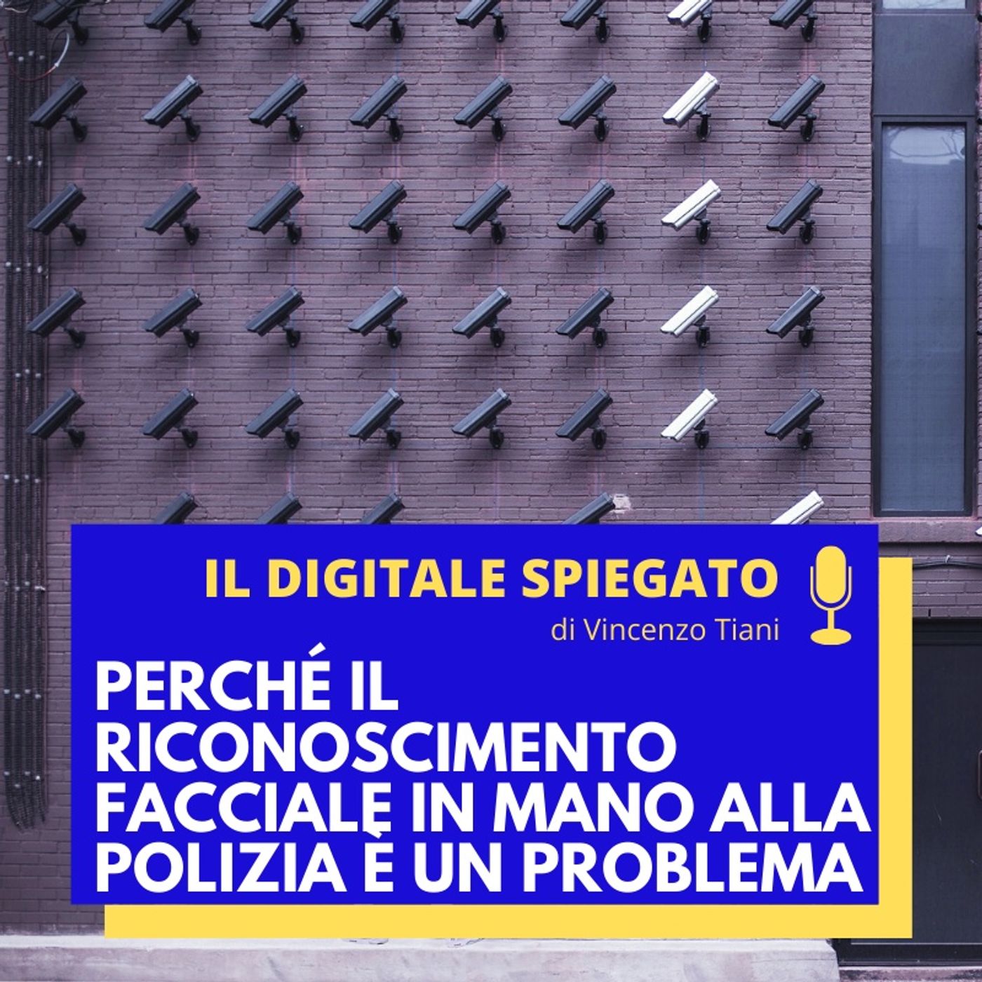 Vincenzo Tiani - Il Digitale Spiegato [ita]