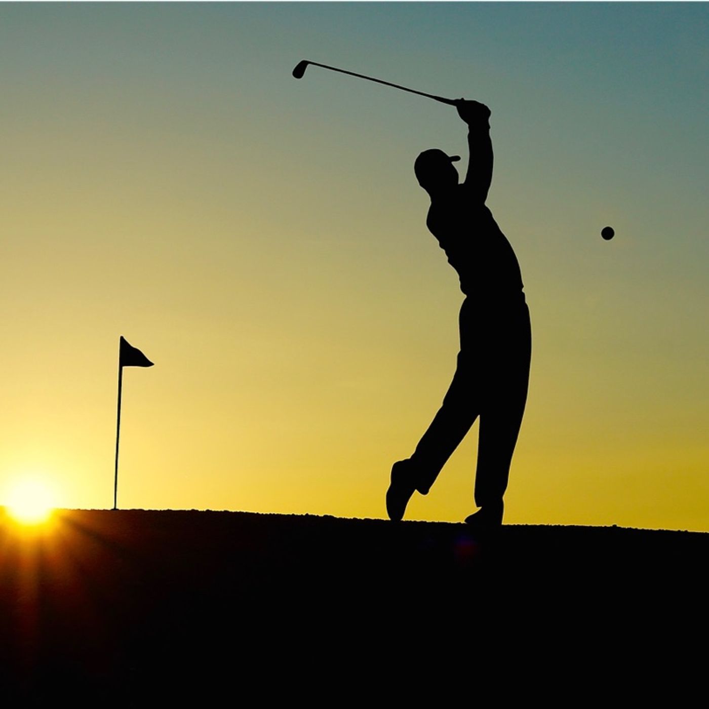 Tiger - Tiger Woods: Professional Golfer Takeaways