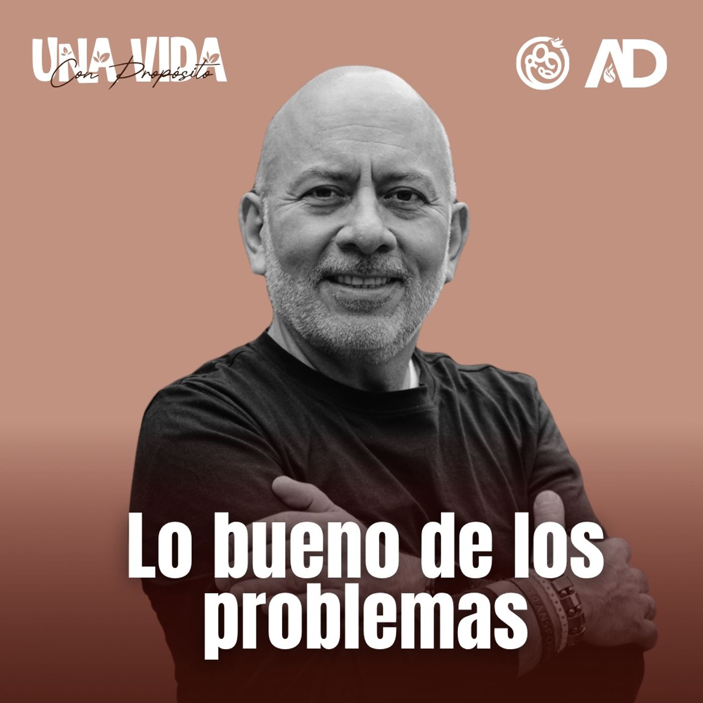 DIA 25 - Lo bueno de los problemas episode artwork