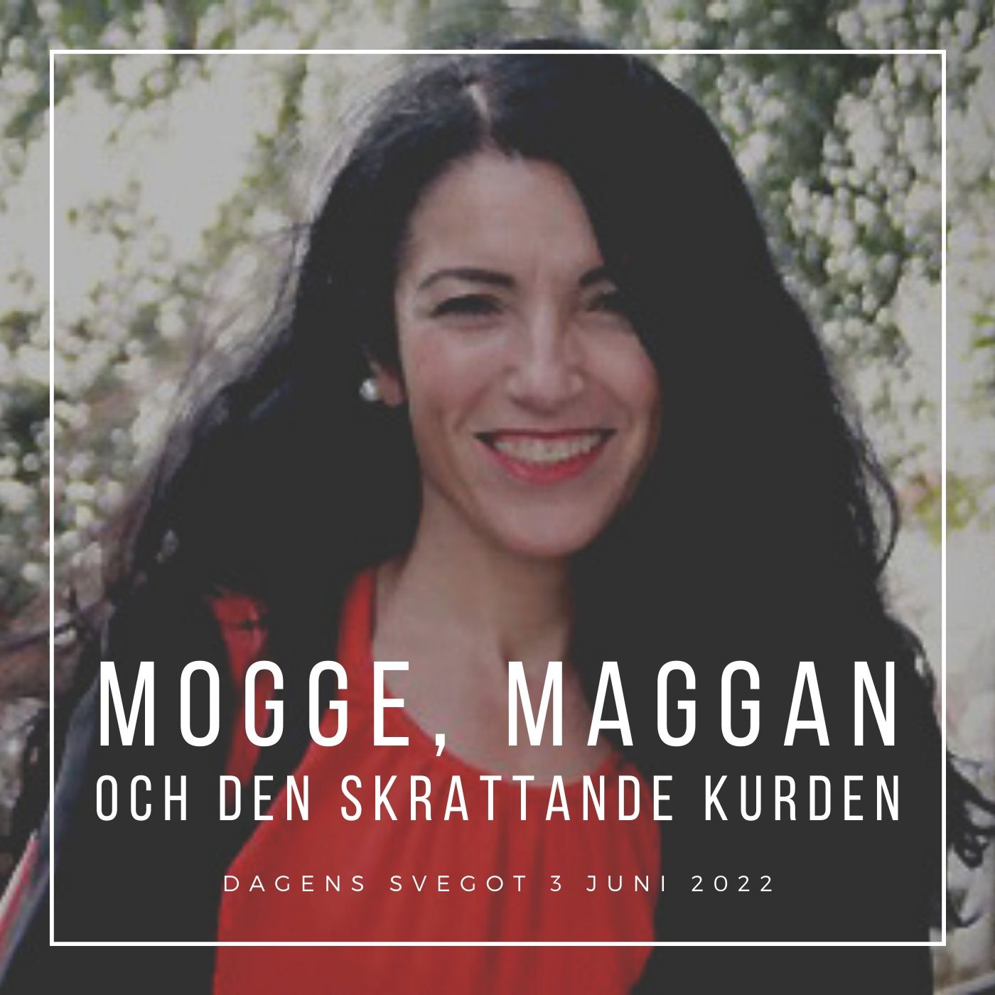 Mogge, Maggan och den skrattande kurden episode artwork
