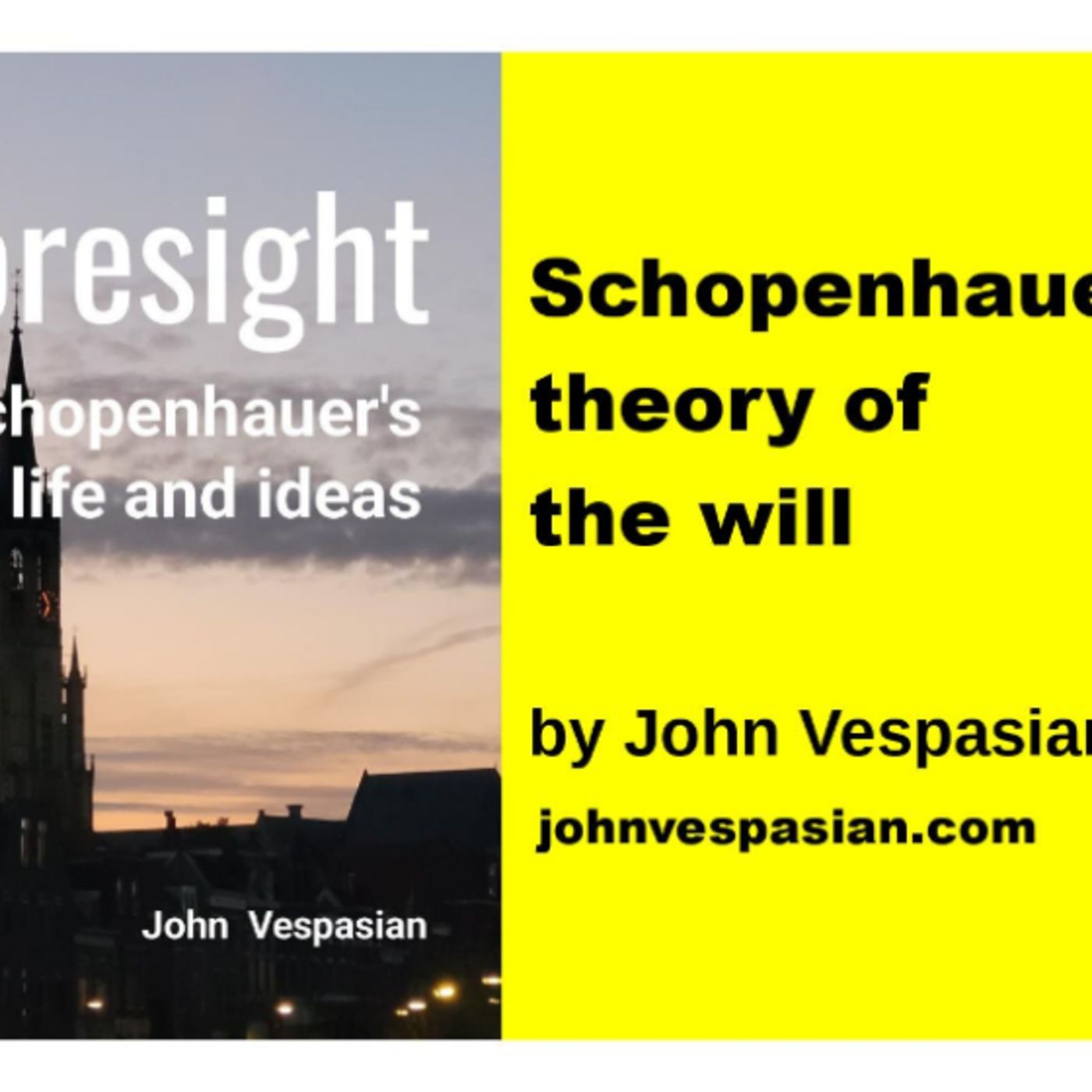 Schopenhauer’s theory of the will episode artwork