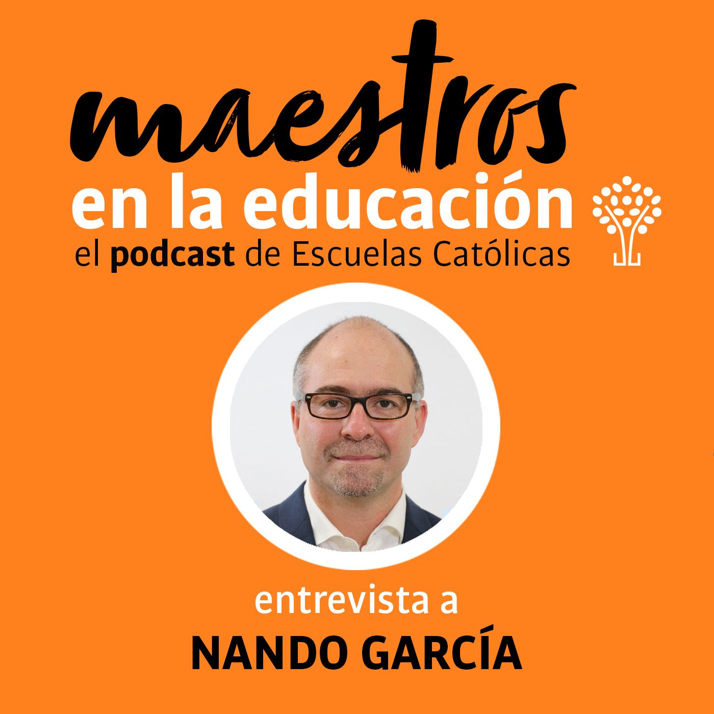 Maestros en la educación