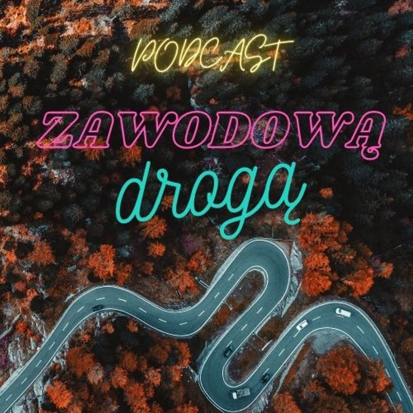Zawodową drogą