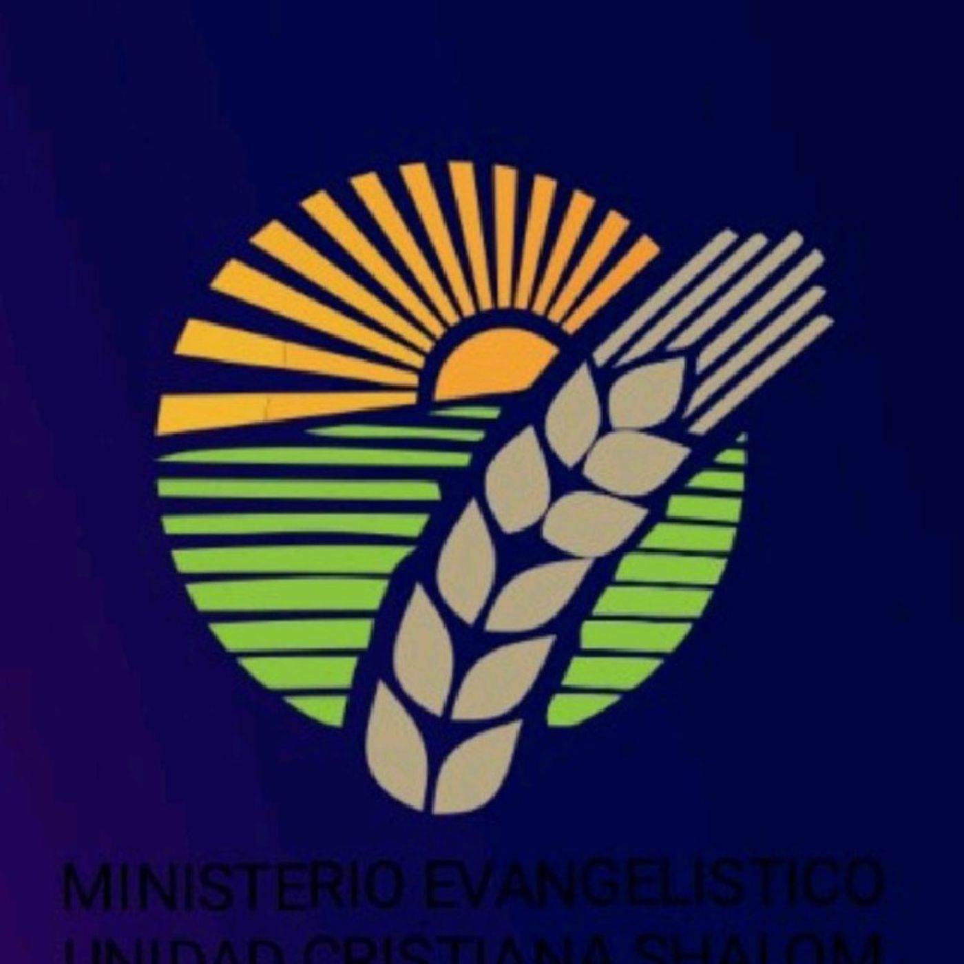 El podcast de Martin Navarrete