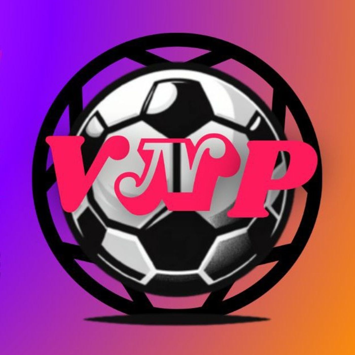 VNP - Valdarno Nel Pallone