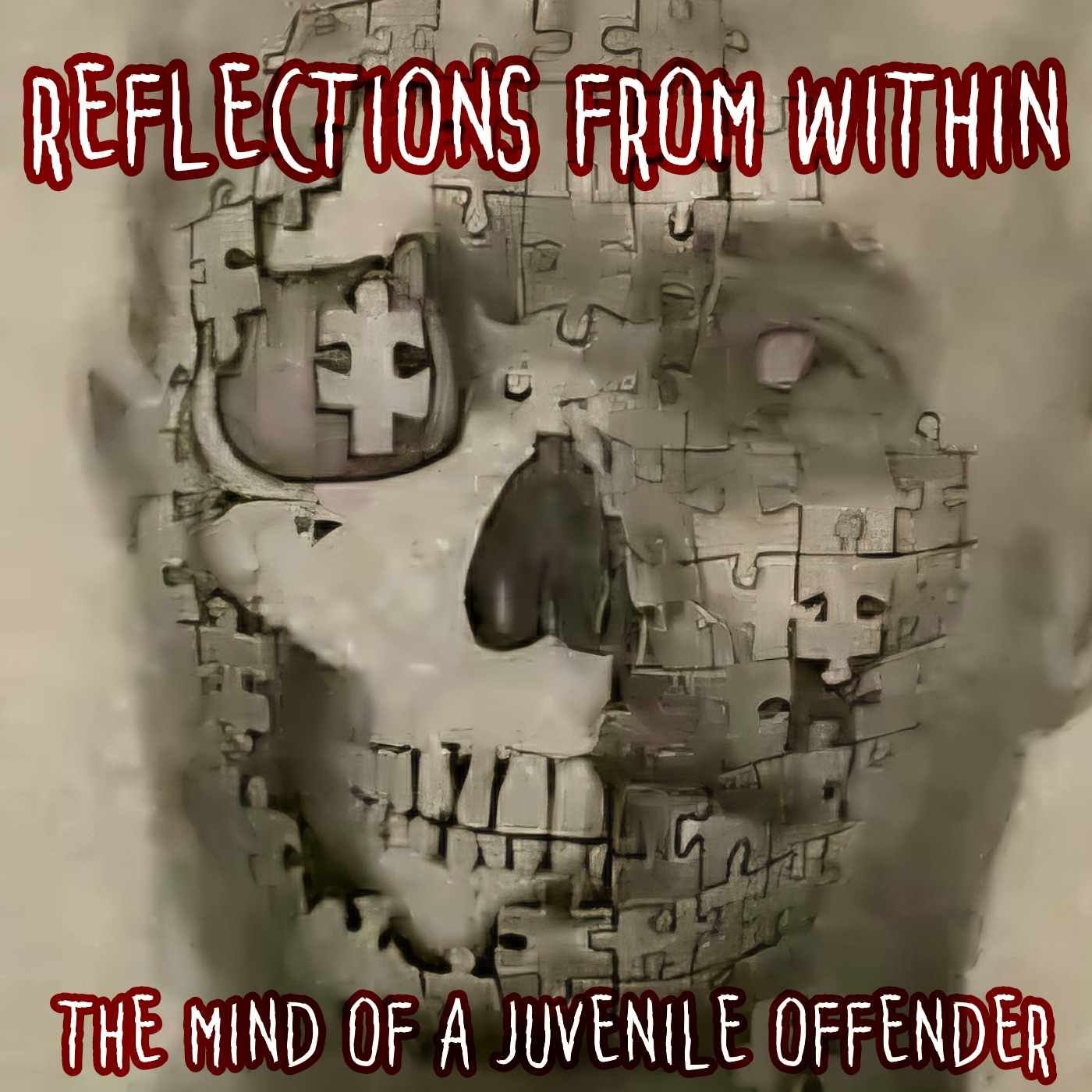 Reflections from within: The mind of a juvenile offender