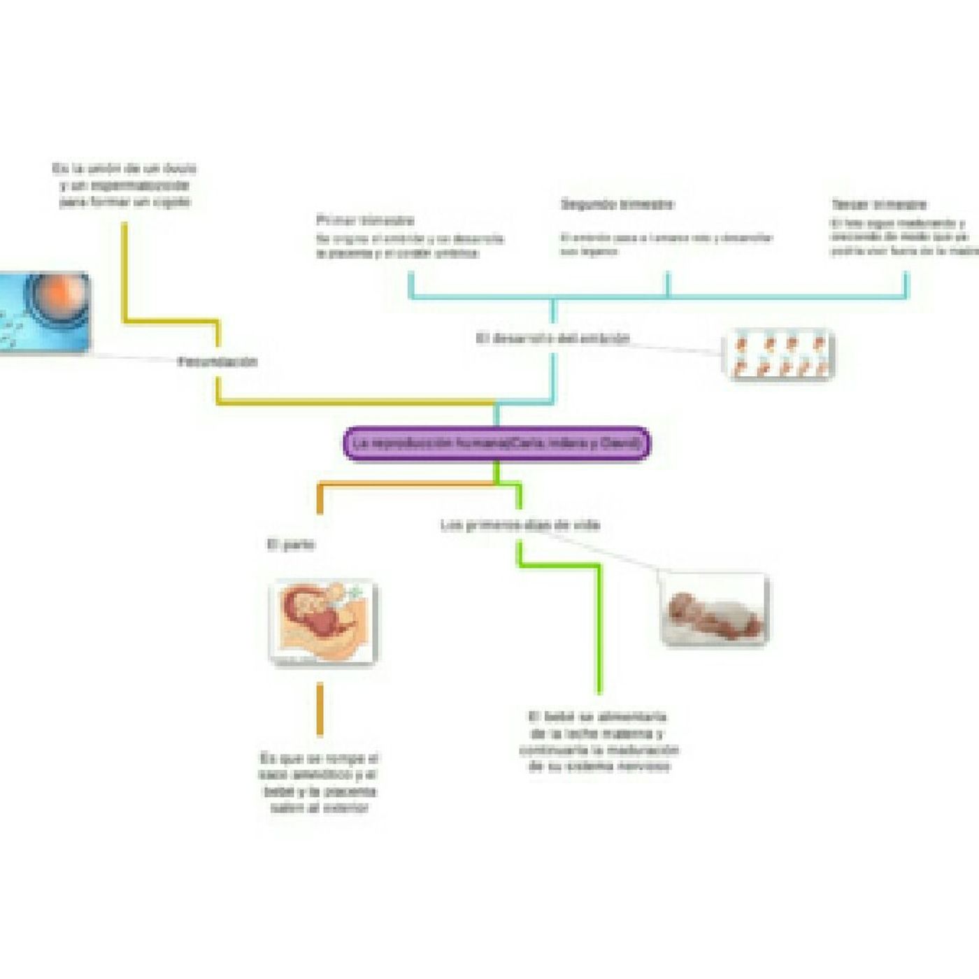 El show de membrillar membrillar
