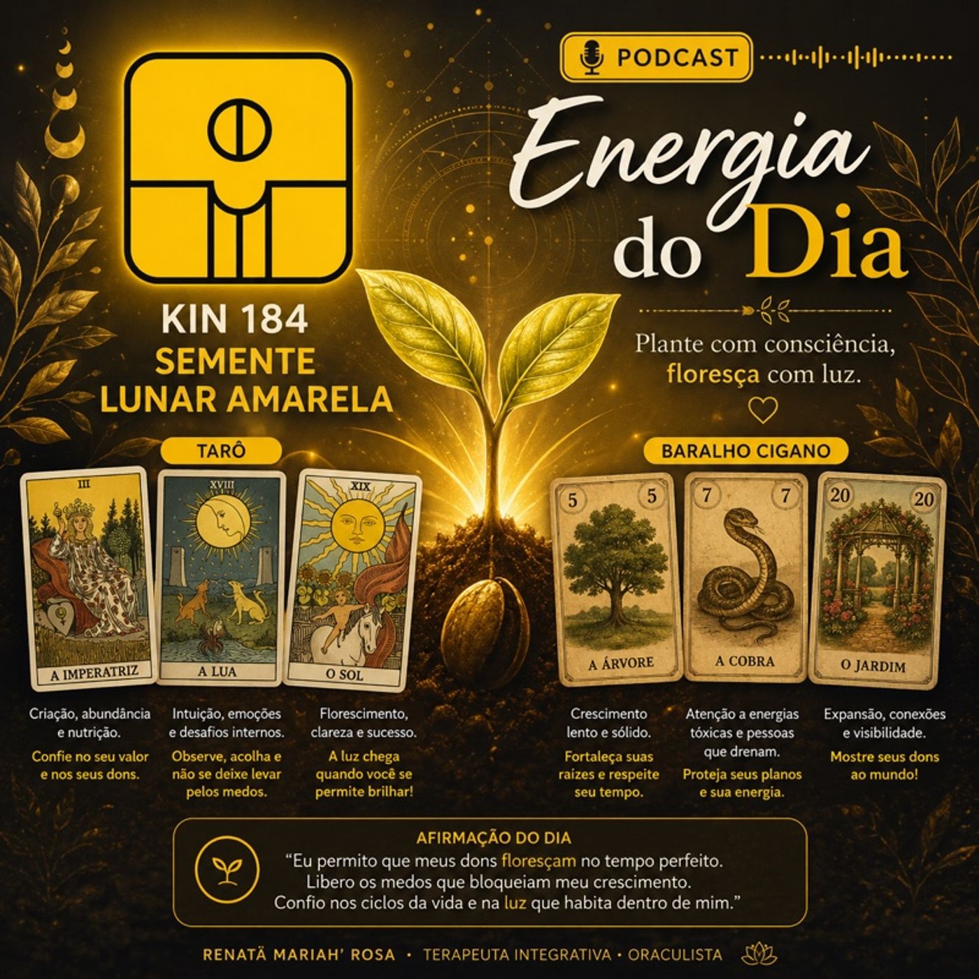 Energia do Dia  Kin 184 – Semente Lunar Amarela episode artwork