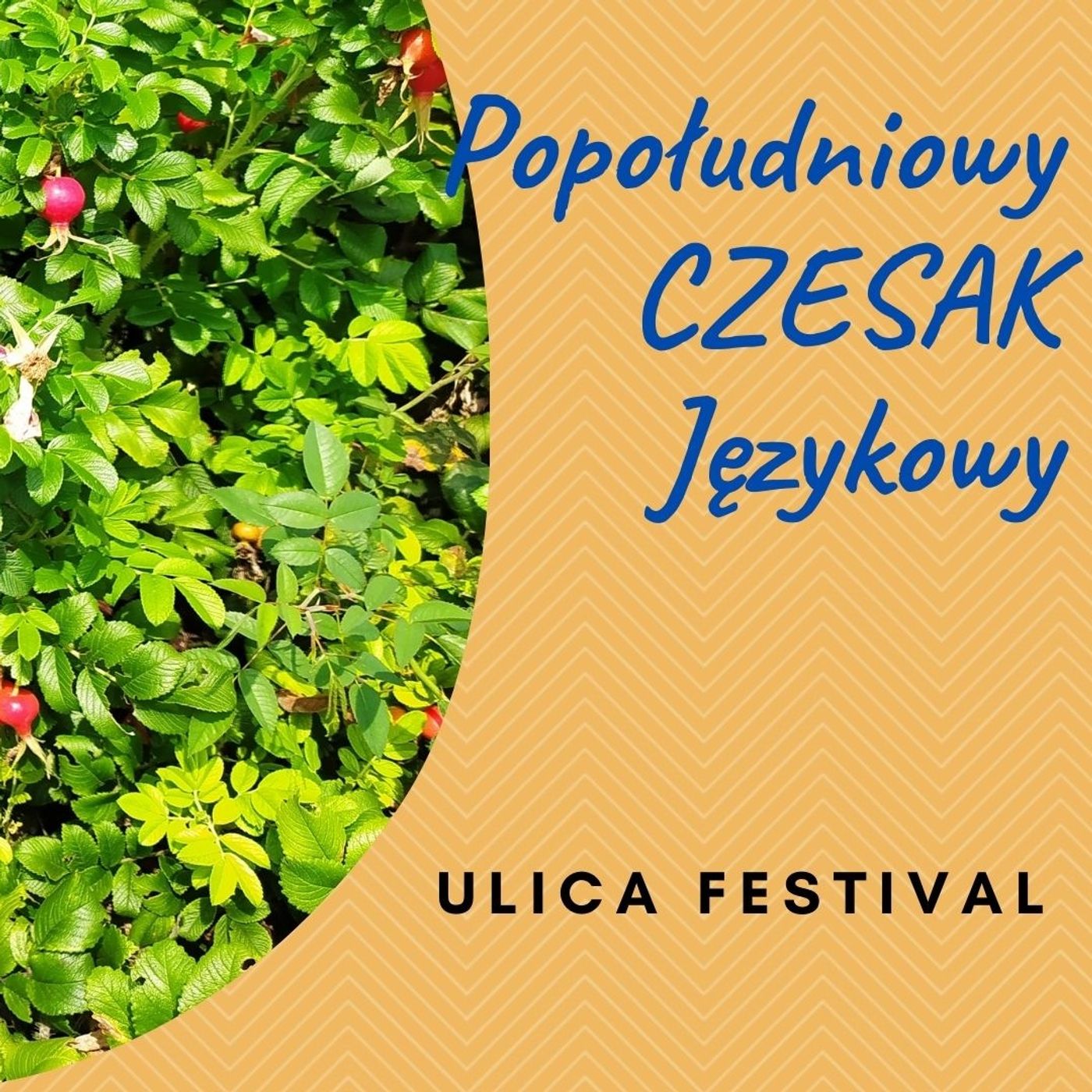 Poranny Czesak Językowy