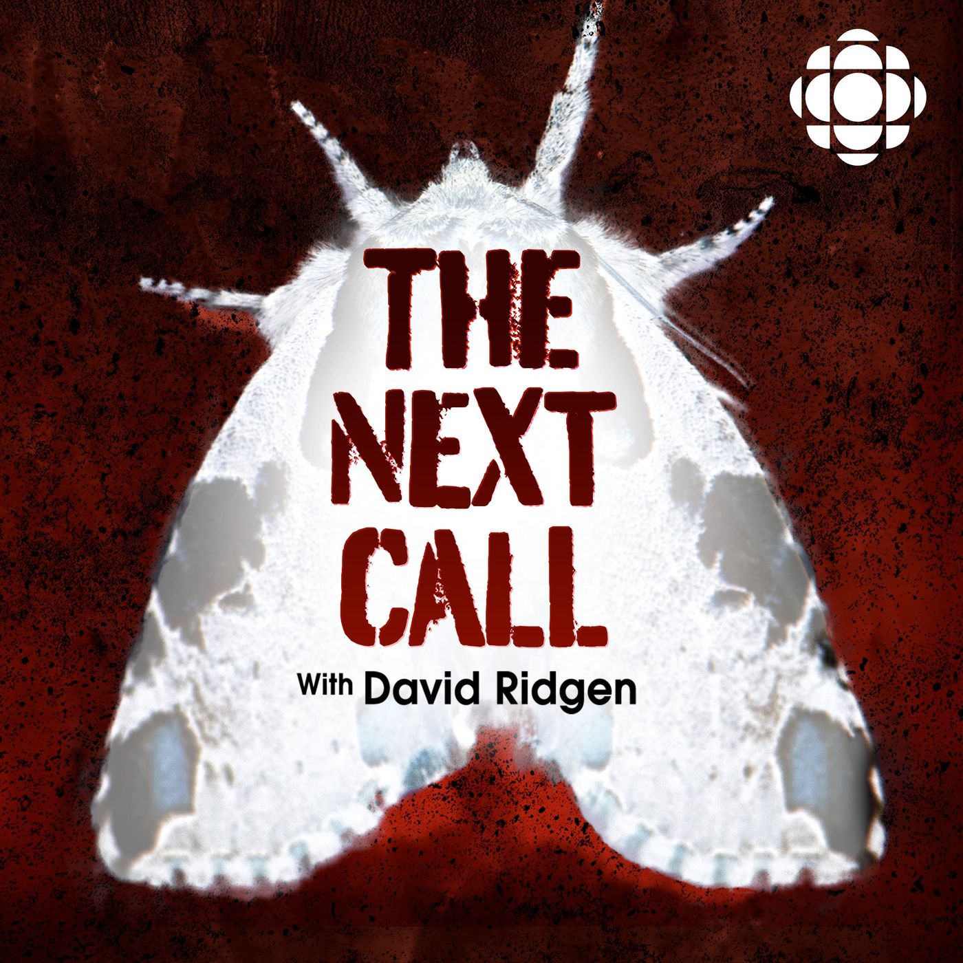 The Next Call with David Ridgen: Episode 4 in the case of Terrie Dauphinais (UPDATE) episode artwork