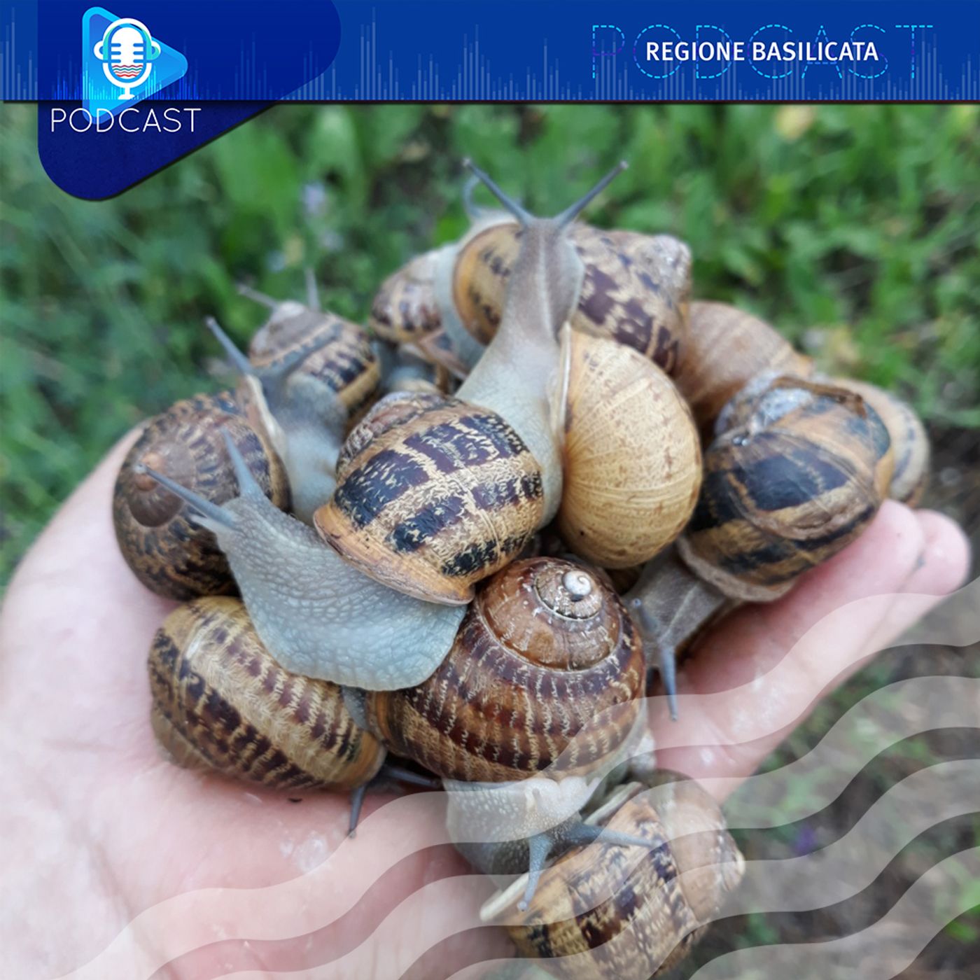 La Regione Basilicata in Podcast