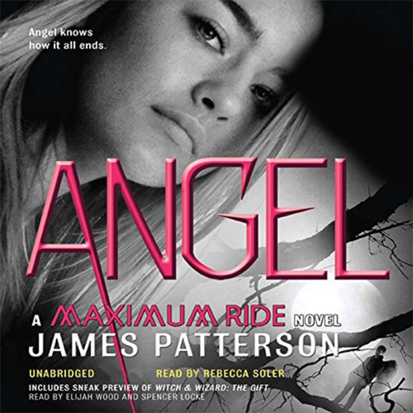 Angel by James Patterson part2