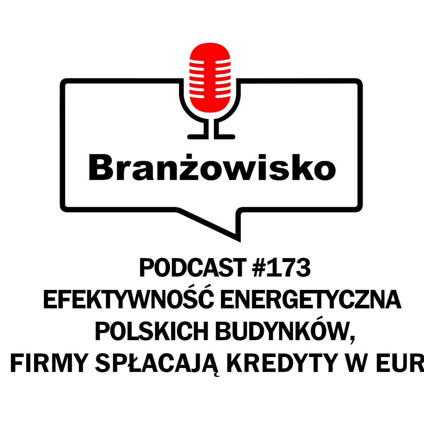 Branżowisko #173 - Efektywność energetyczna polskich budynków. Firmy spłacają kredyty w euro episode artwork