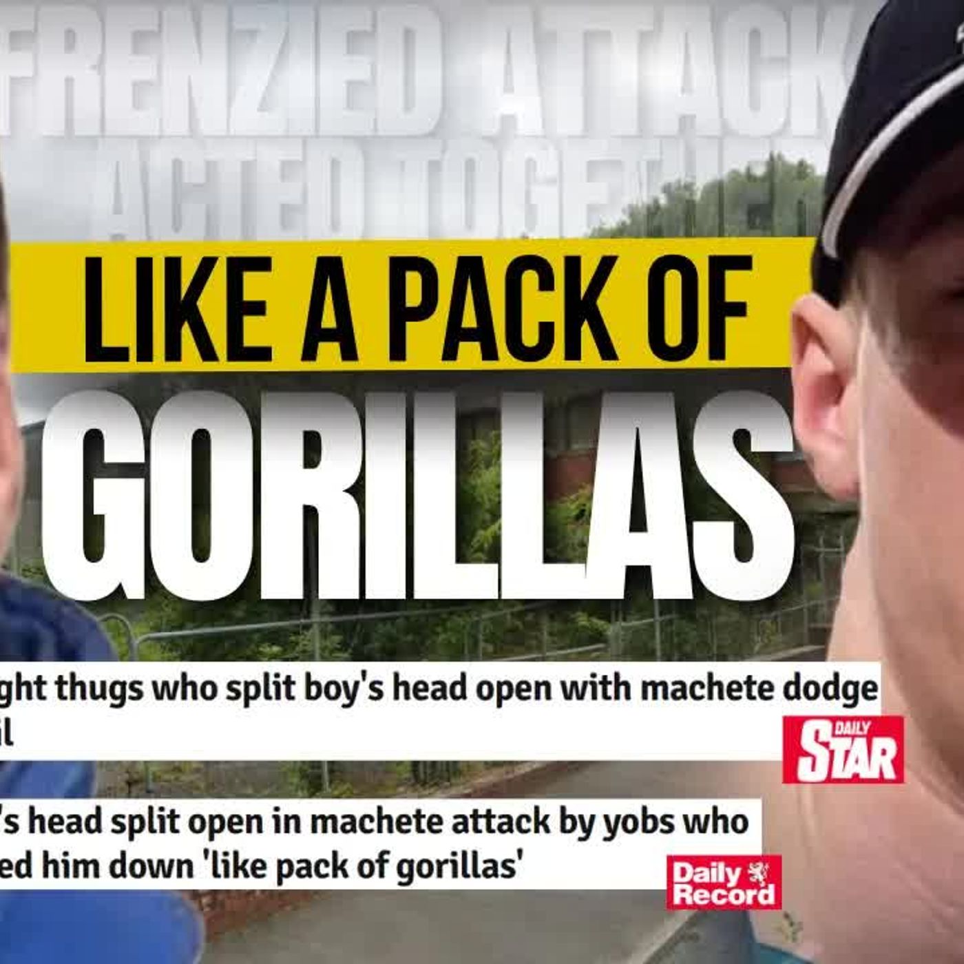 JAY SLATER DAY 8 Gorillas in Our Midst