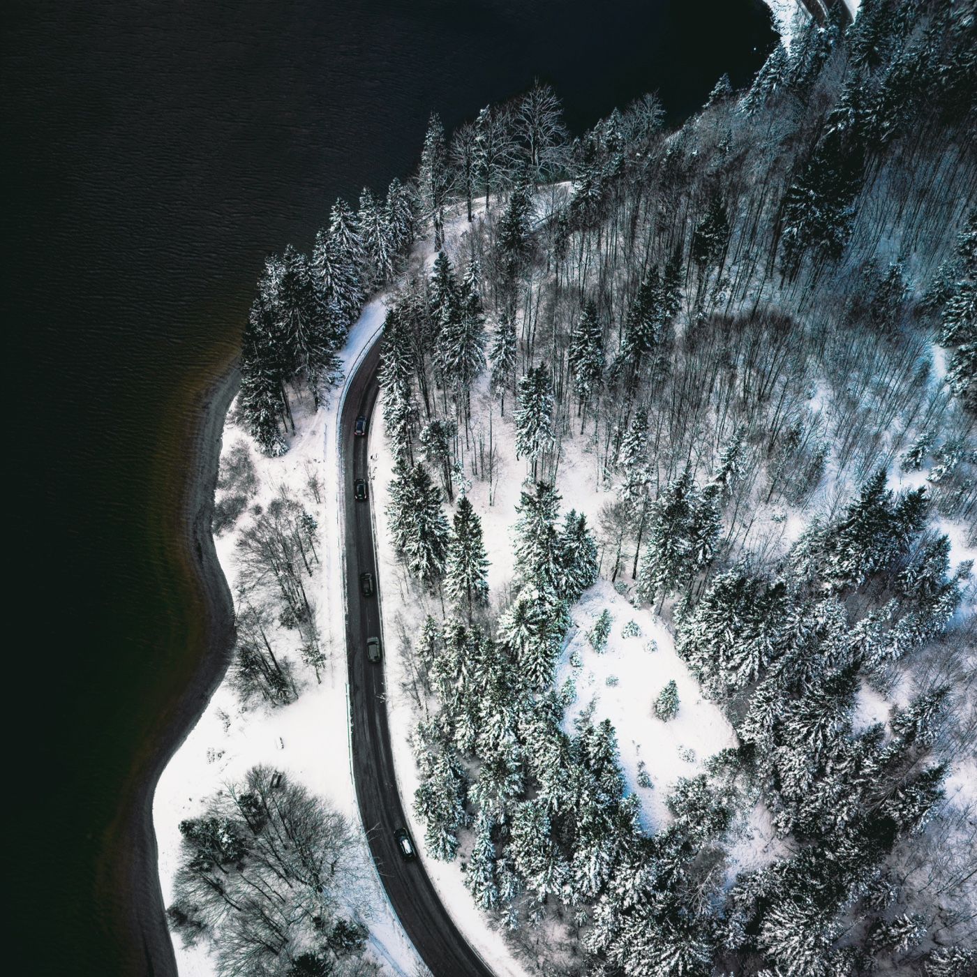 Complejidad en la educación