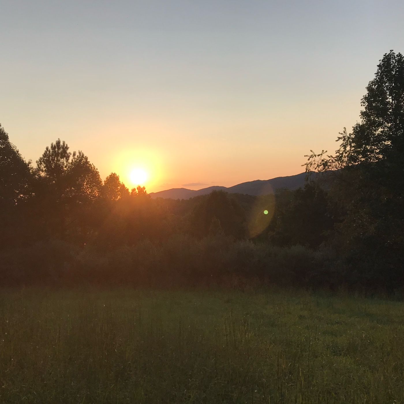 Hey Y’all Its Paul