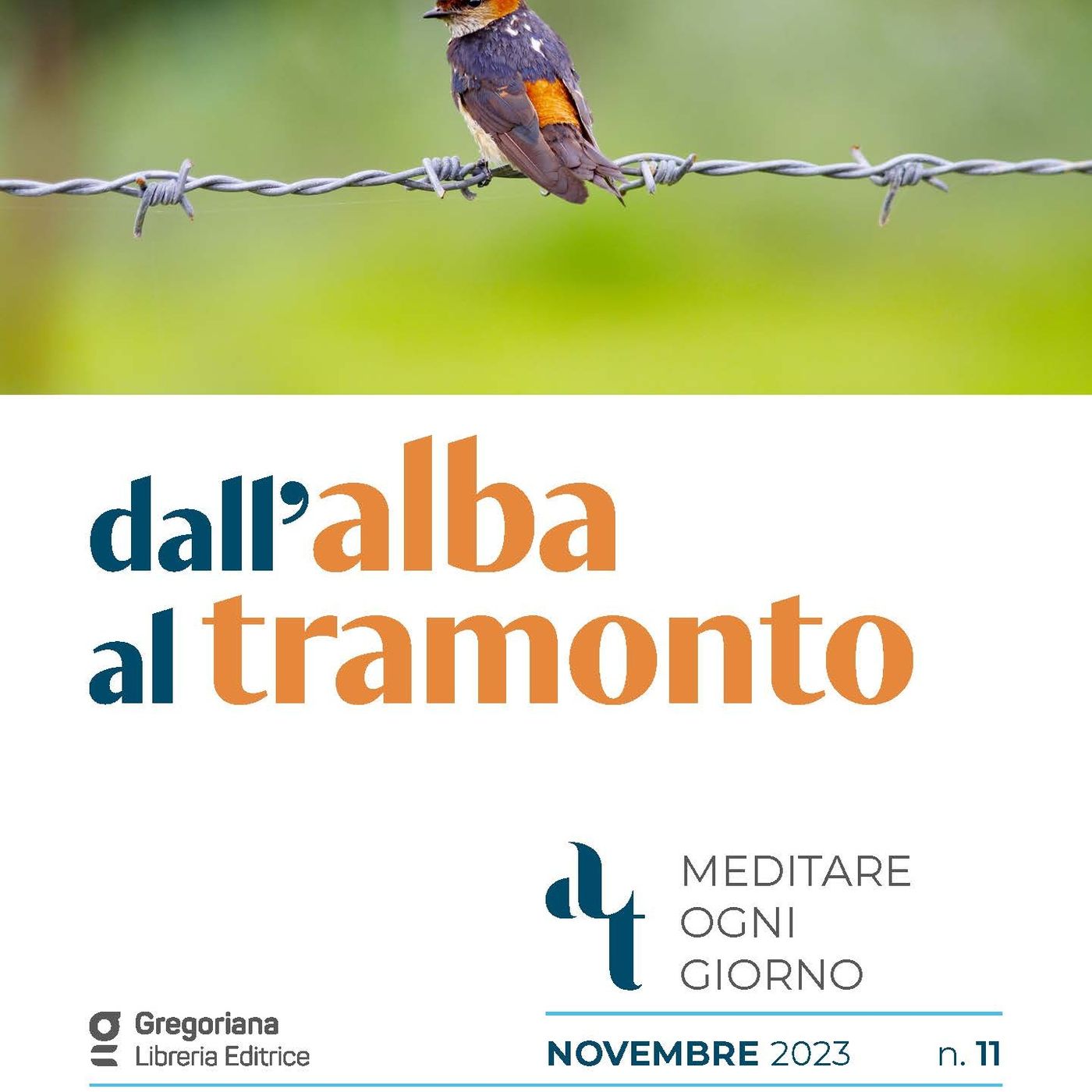 Giovedì 2 novembre 2023 - Commemorazione di tutti i Fedeli Defunti