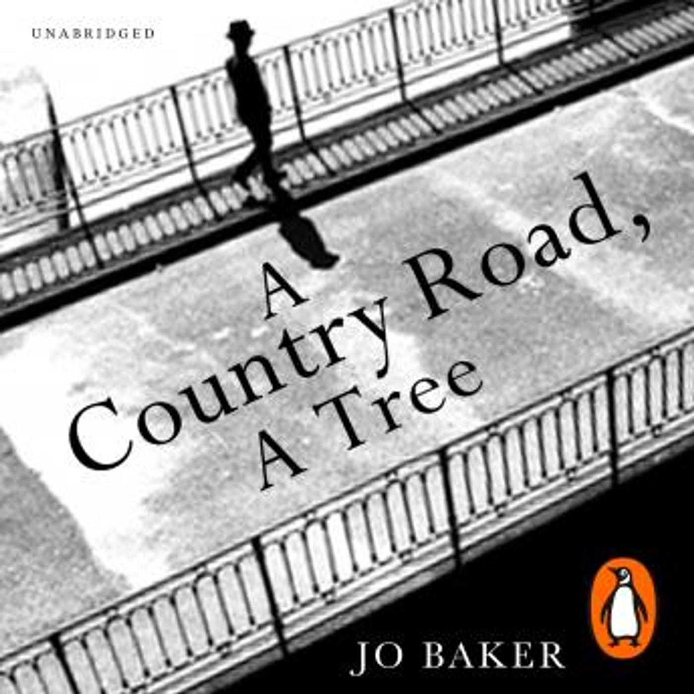 Access Unmissable Full Audiobooks in Fiction, Westerns & War