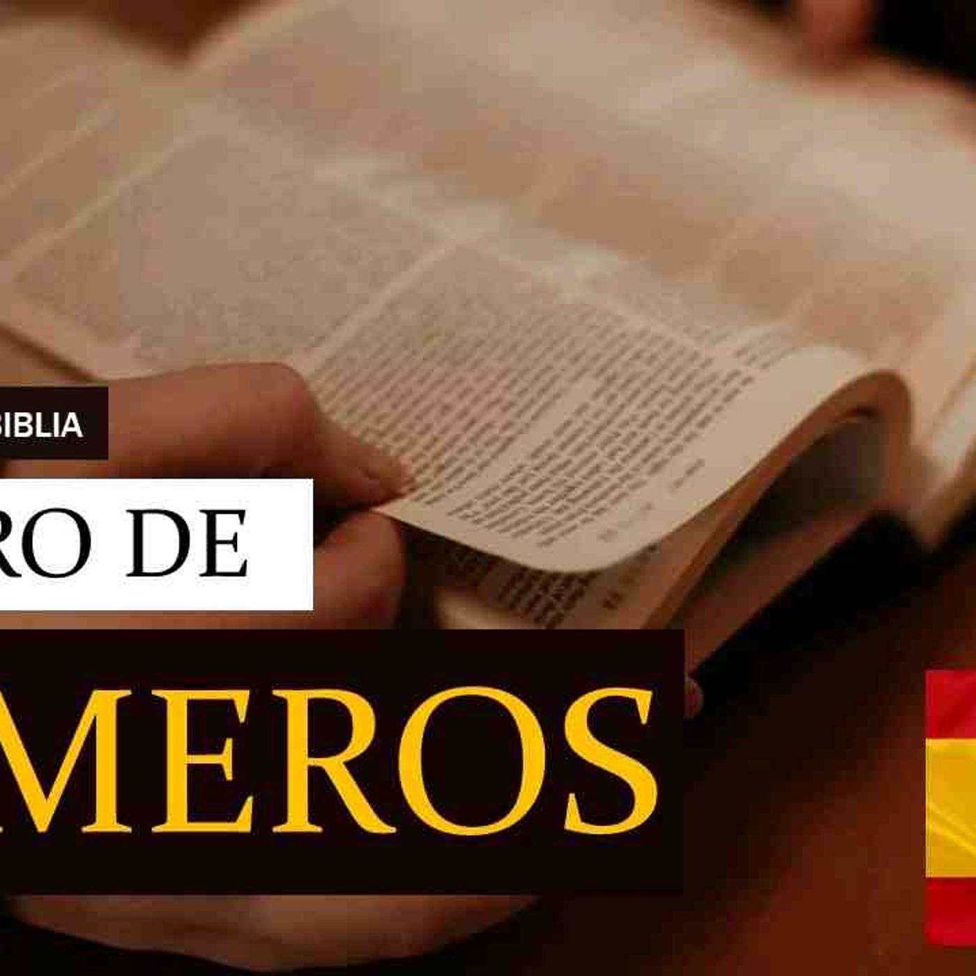 BIBLIA EM ESPANHOL _ LIBRO DE NÚMEROS _ AUDIO COMPLETO - BIBLIA EN ESPAÑOL NUMEROS(MP3_160K)