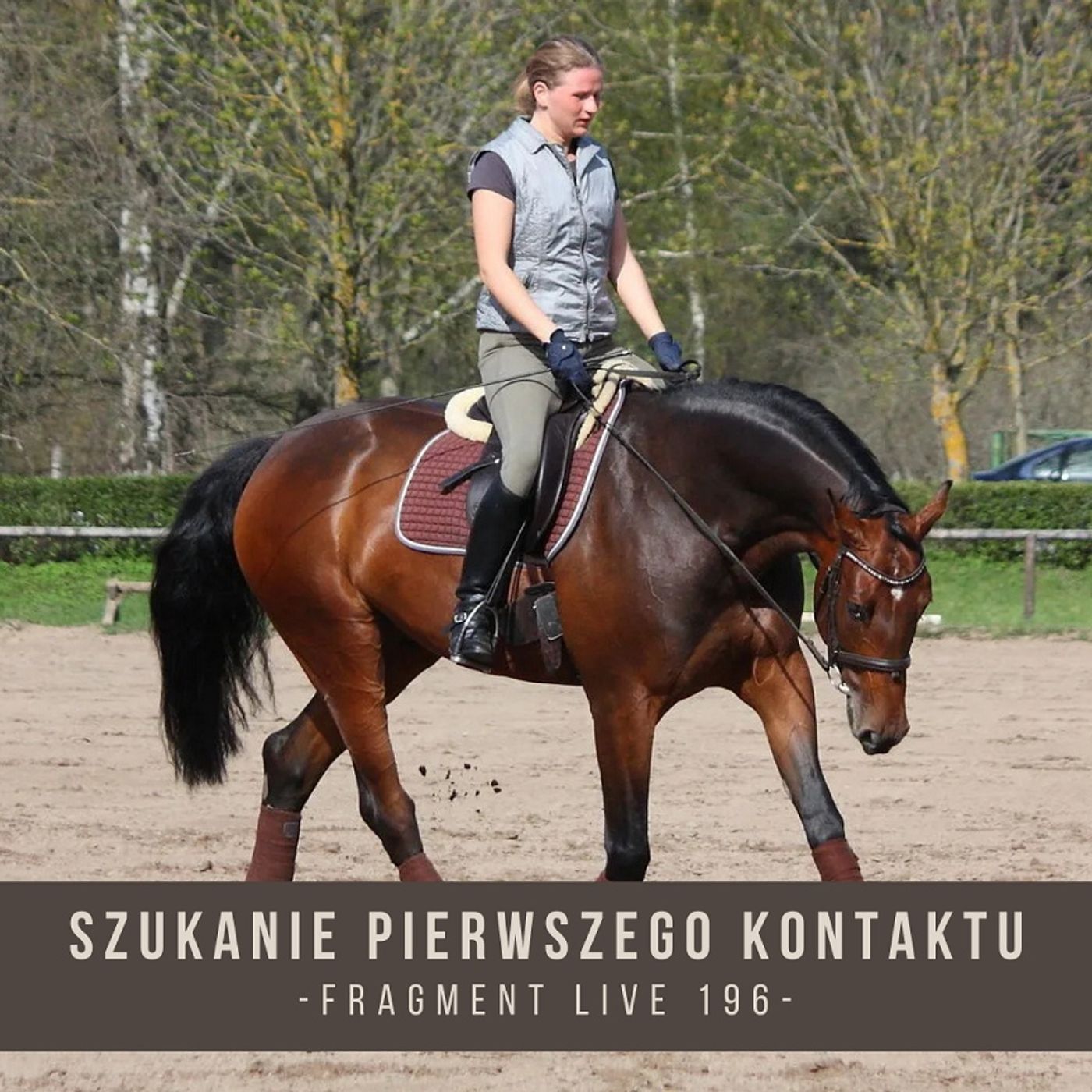 Szukanie pierwszego kontaktu - fragment live 196