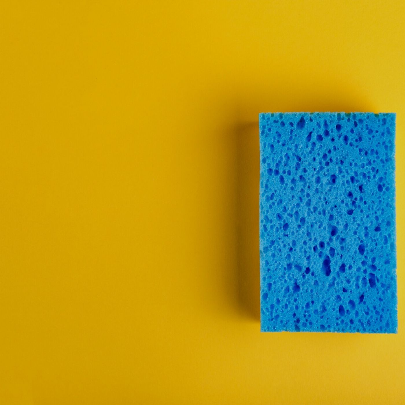 Episode 3: Sponge Leadership