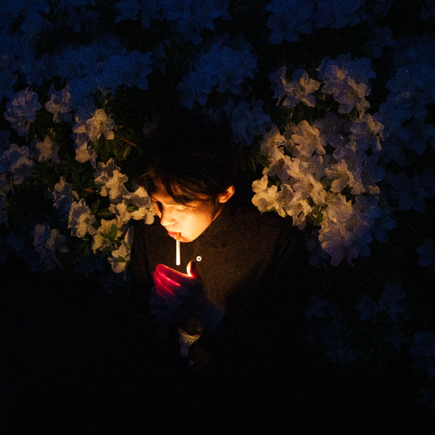 君島大空、3rdフルアルバム『花落知多少』リリース　全国6カ所を巡る独奏ツアー開催も episode artwork