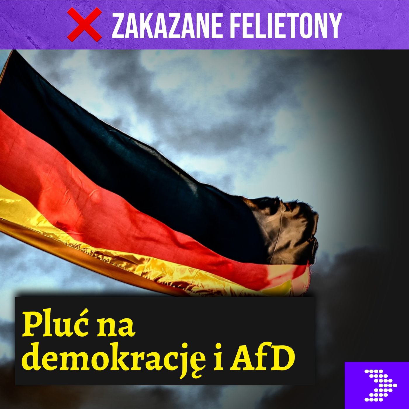 Pluć na demokrację i AfD [FELIETON]