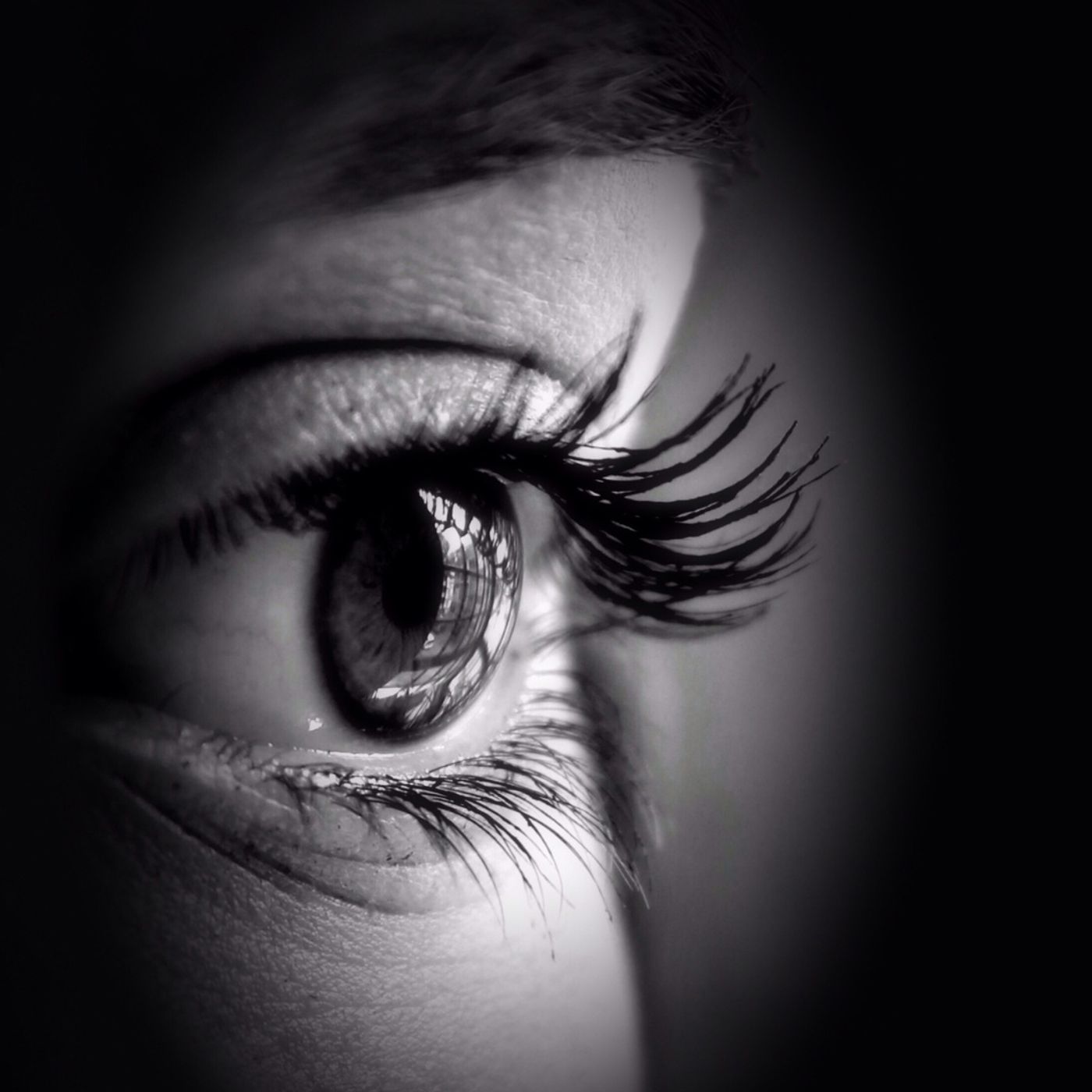 Maximum Medicine with Dr. Sharon Martin