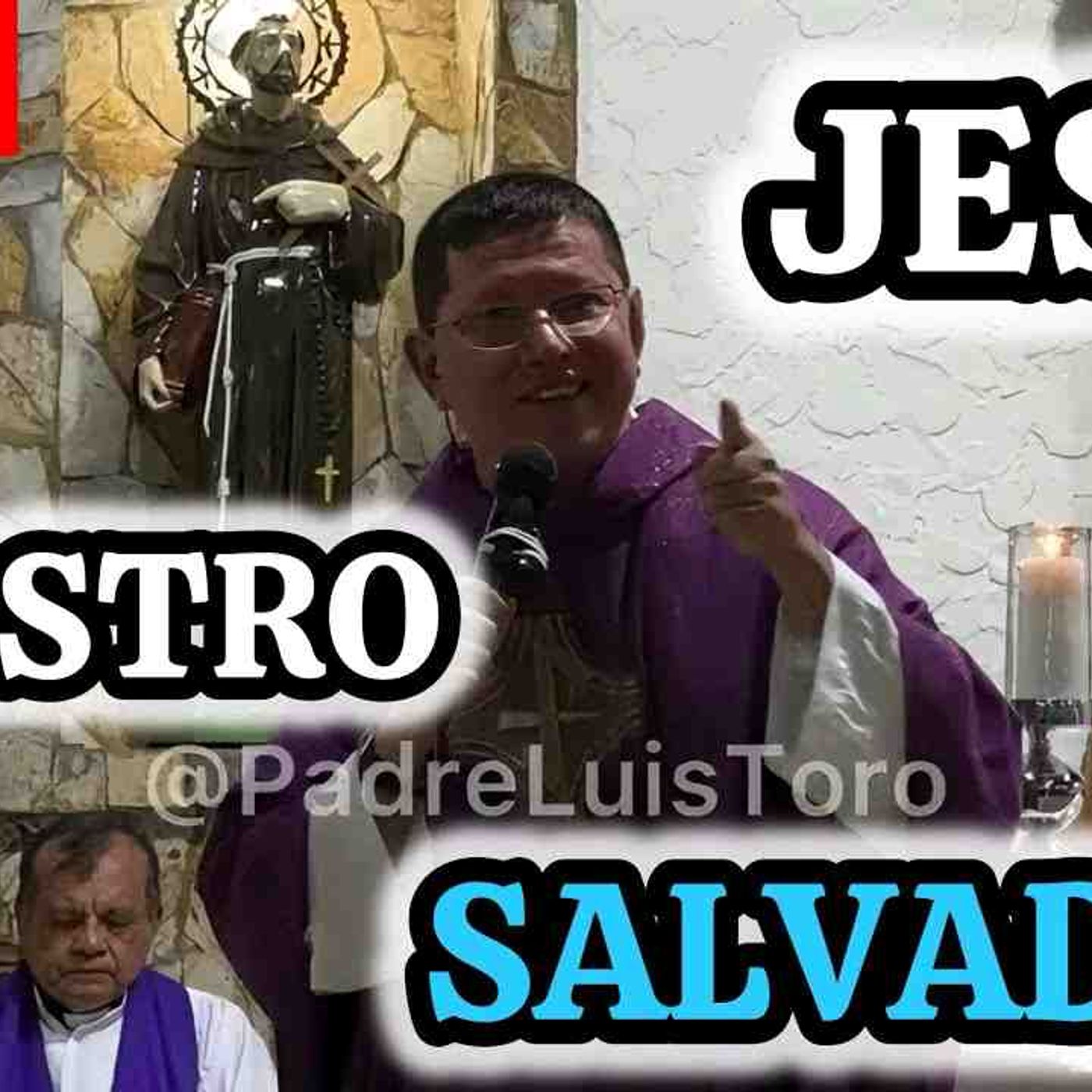 42-26_ ¿Qué TENGO Que Hacer Para SALVARME__ Padre Luis Toro episode artwork