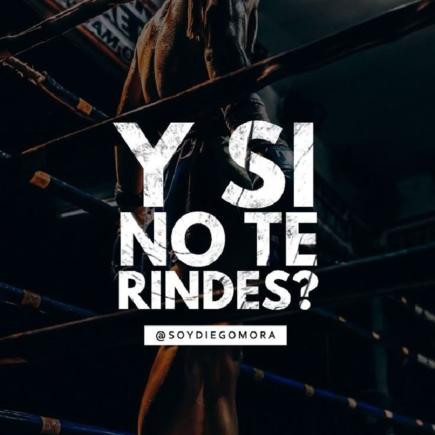 El Gimnasio Si Importa 2AM I.A
